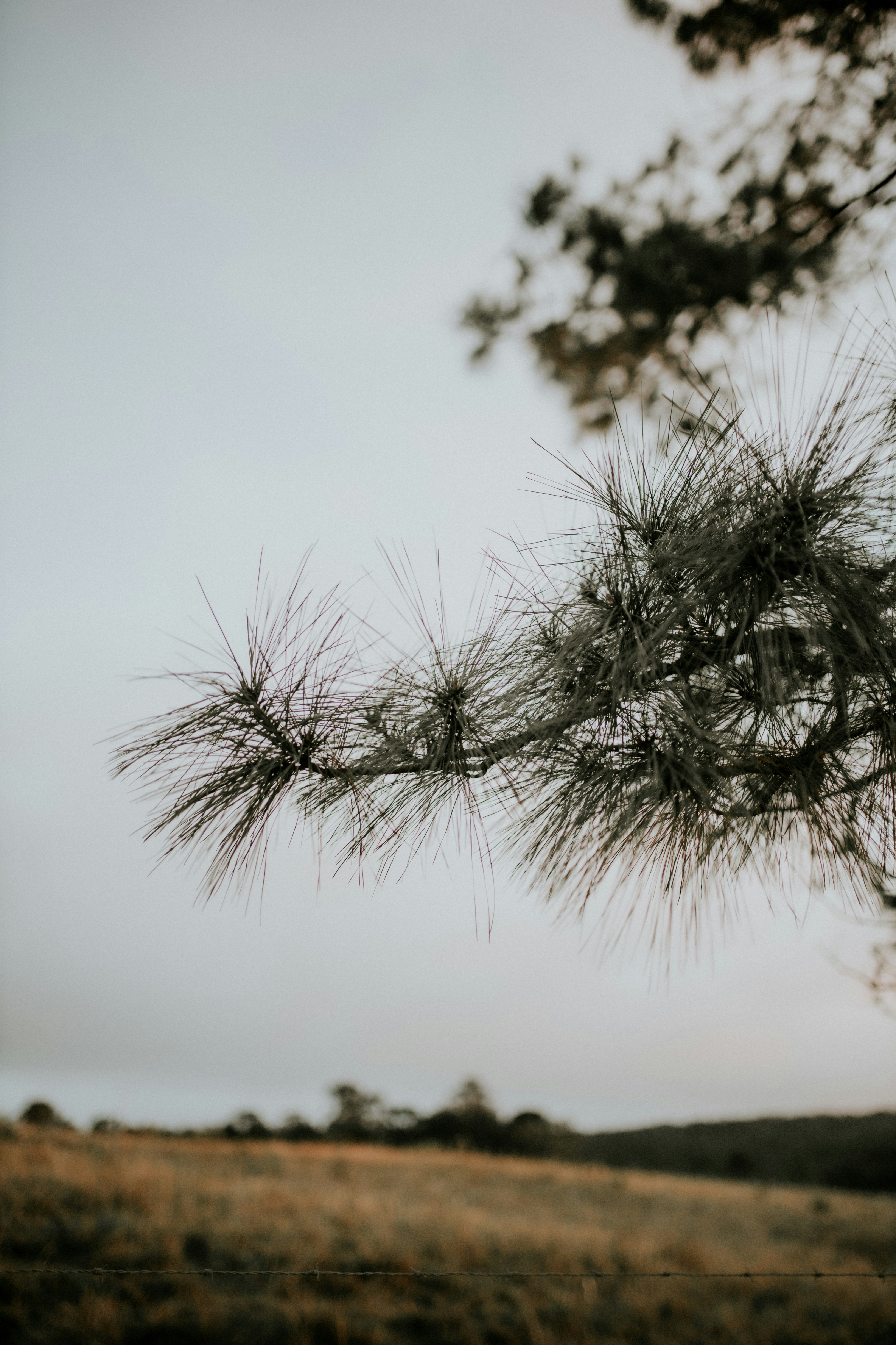 Photo by alexandermassph