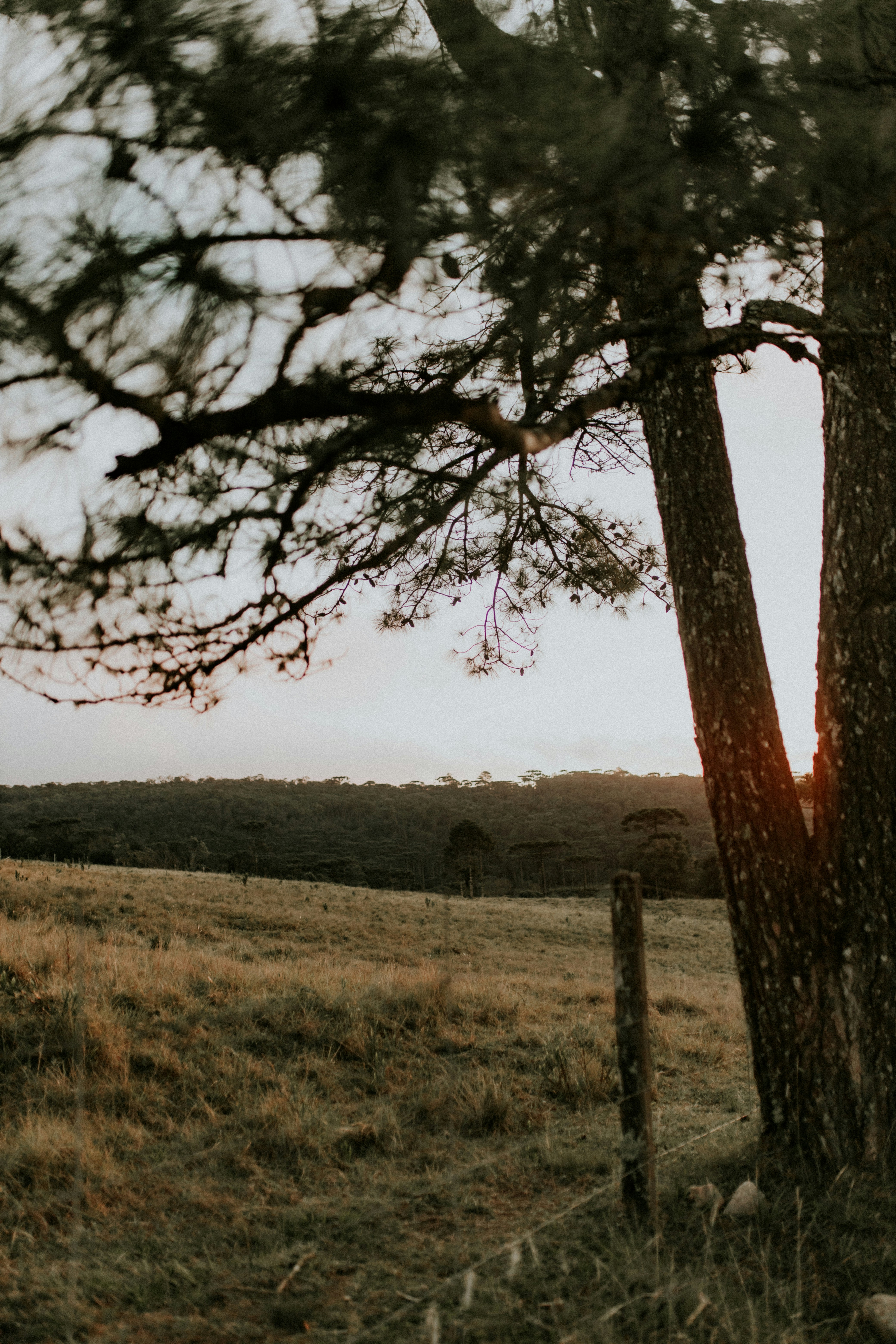 Photo by alexandermassph