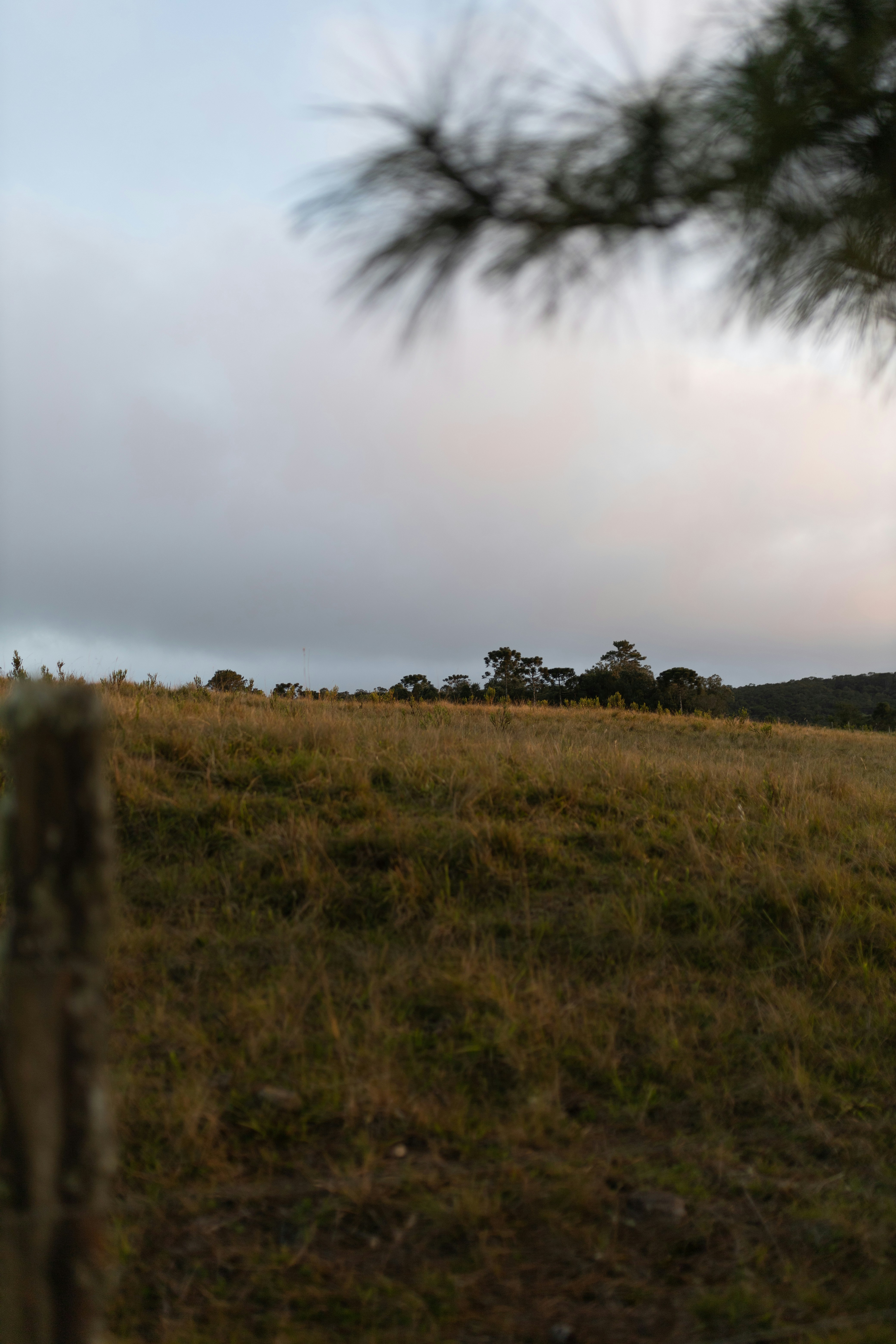 Photo by alexandermassph