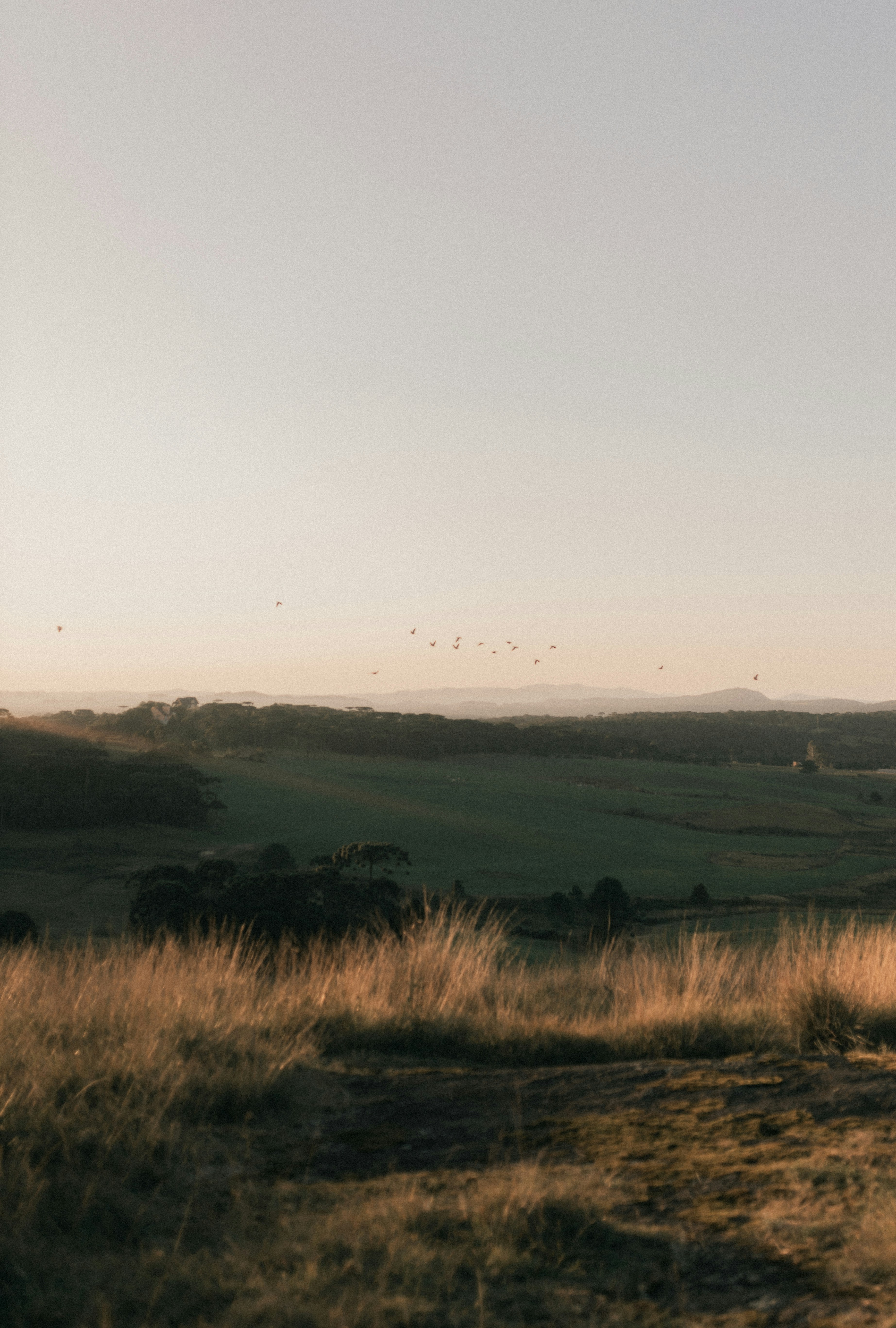 Photo by alexandermassph