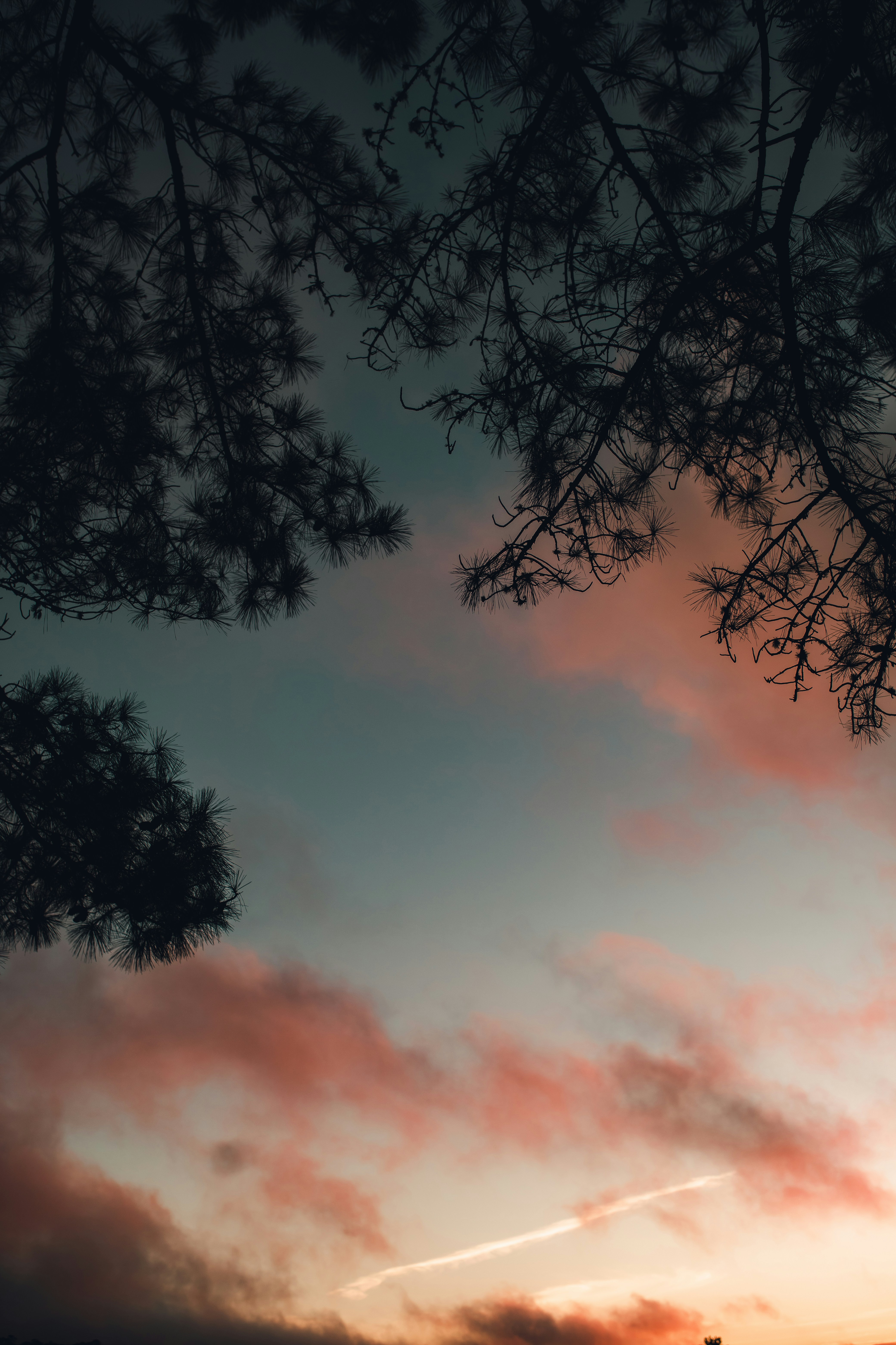 Photo by alexandermassph