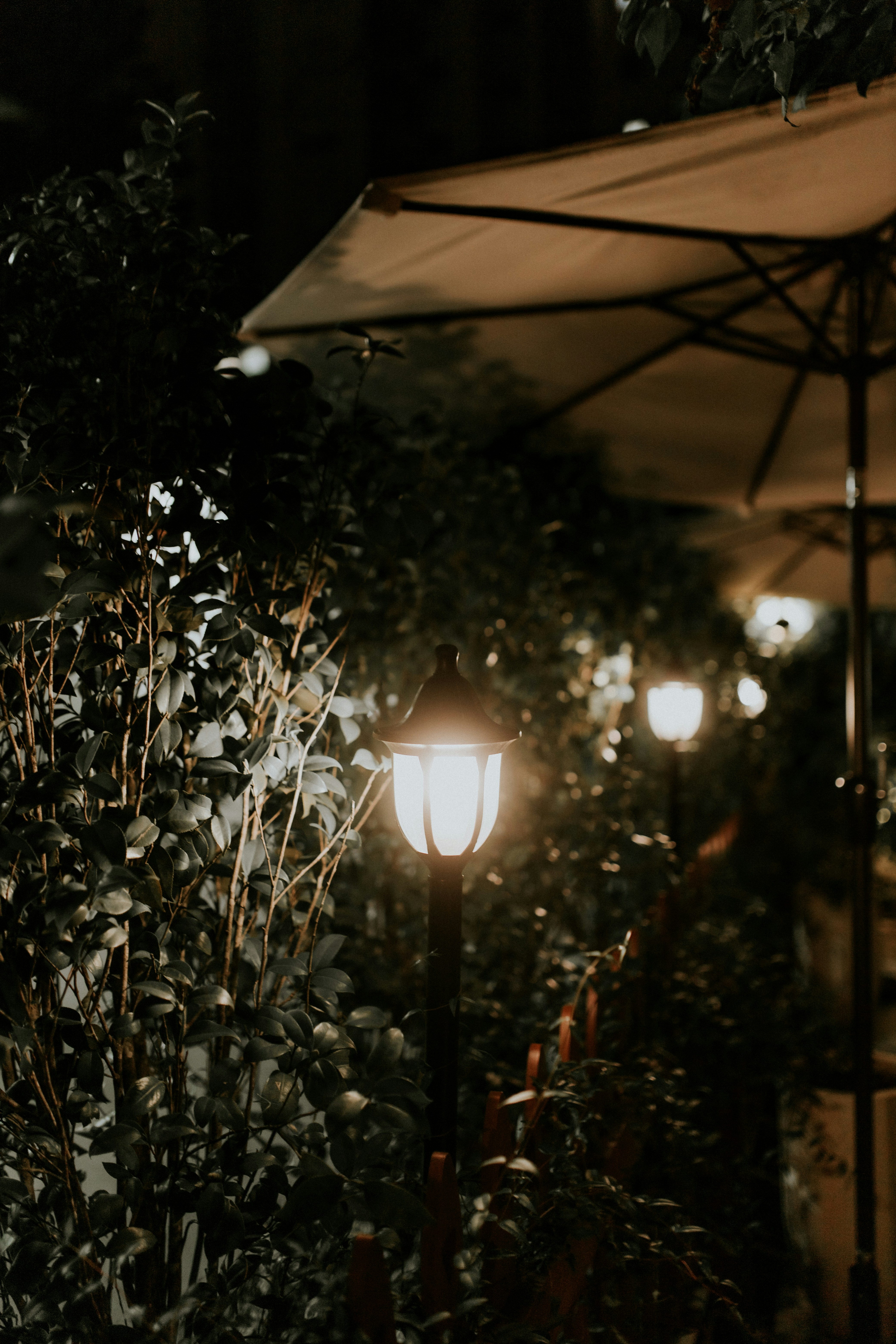 Photo by alexandermassph