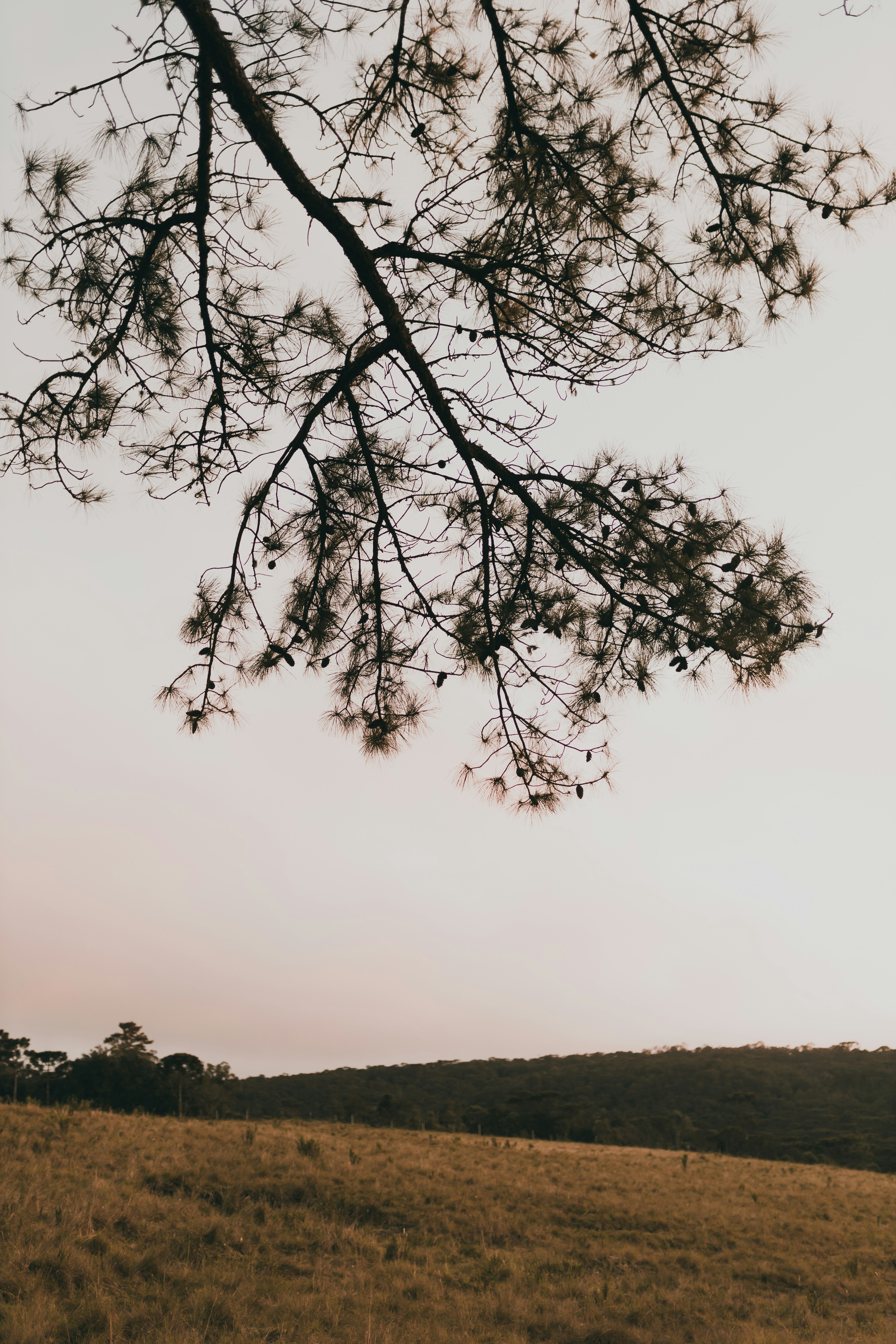 Photo by alexandermassph