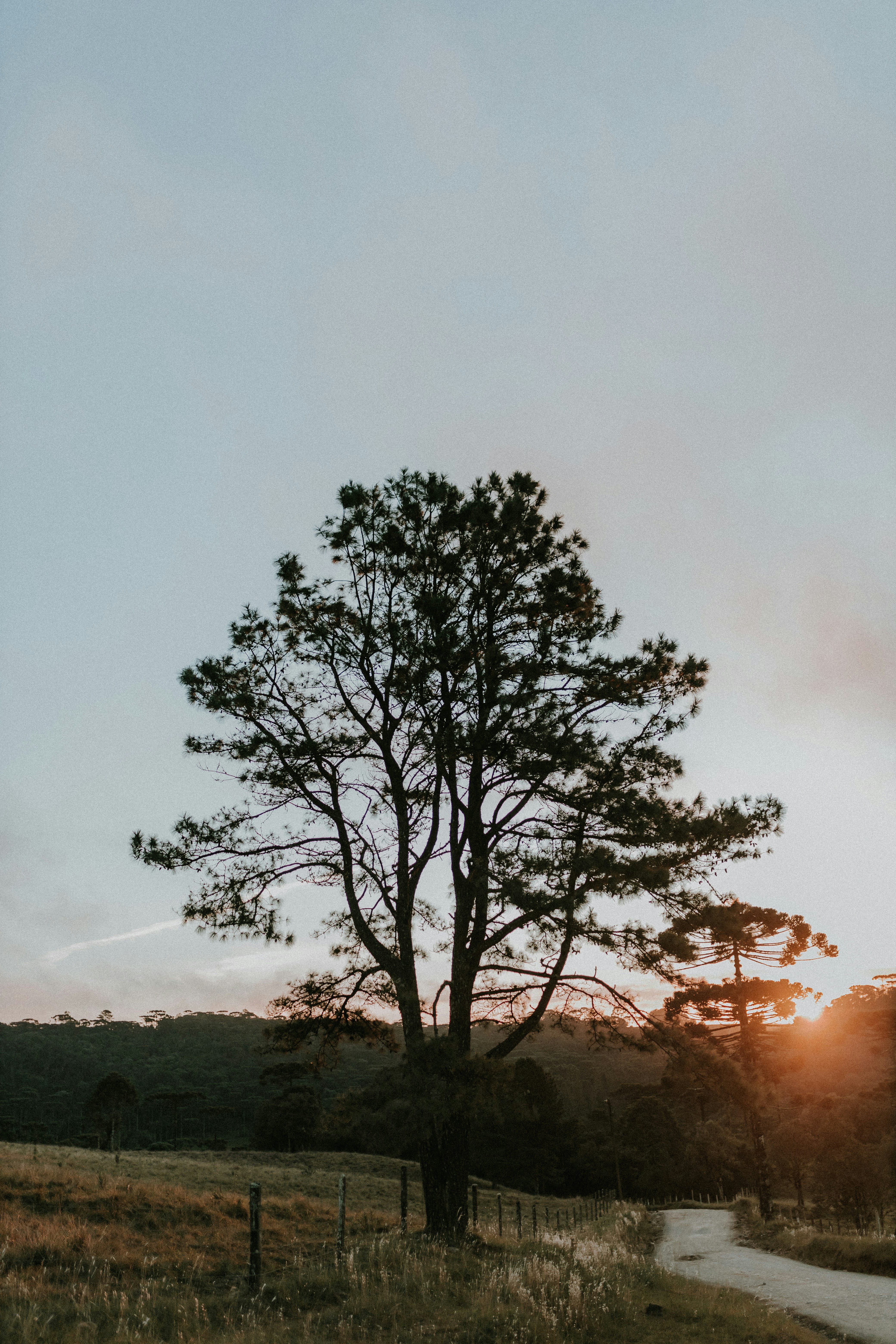 Photo by alexandermassph