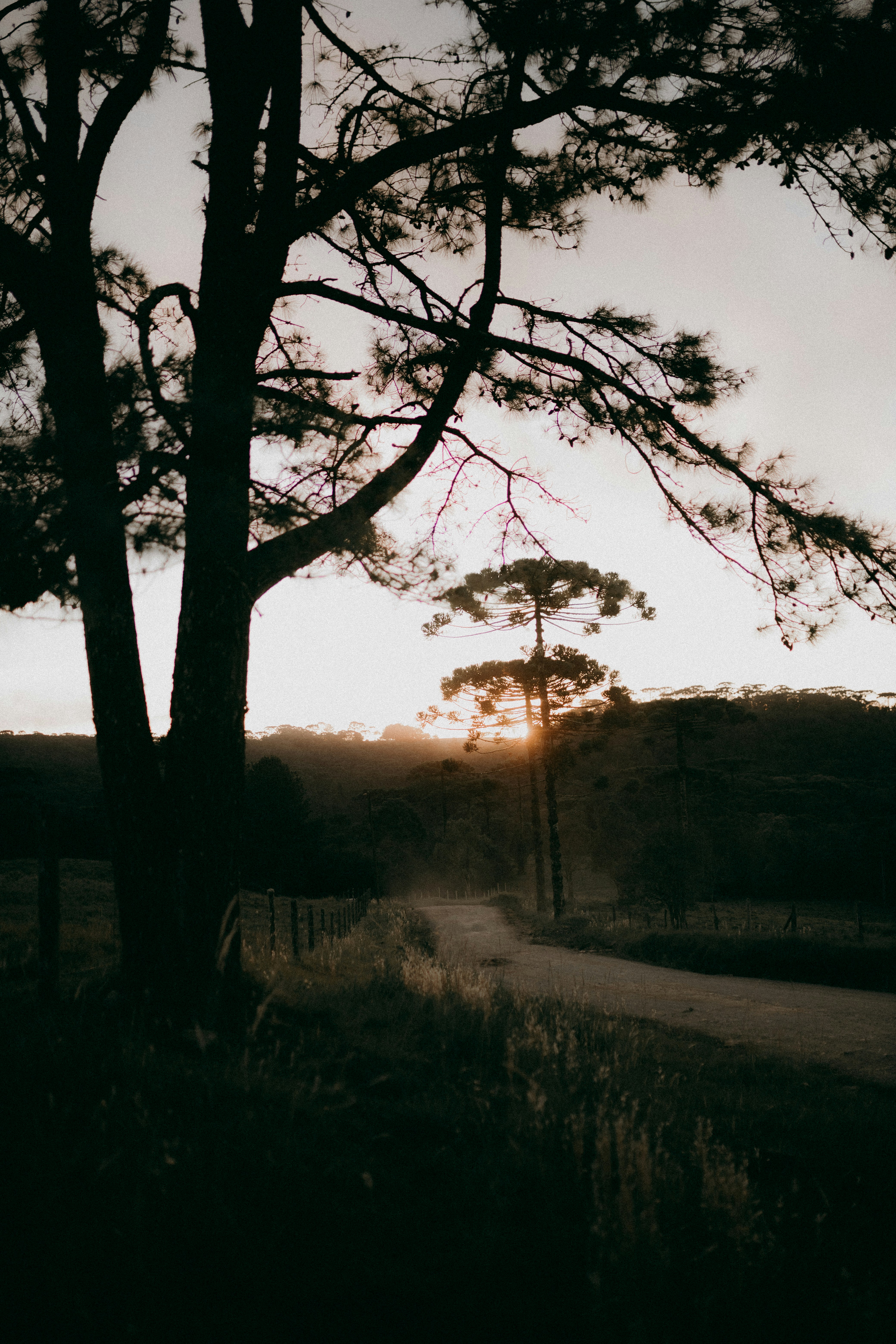 Photo by alexandermassph