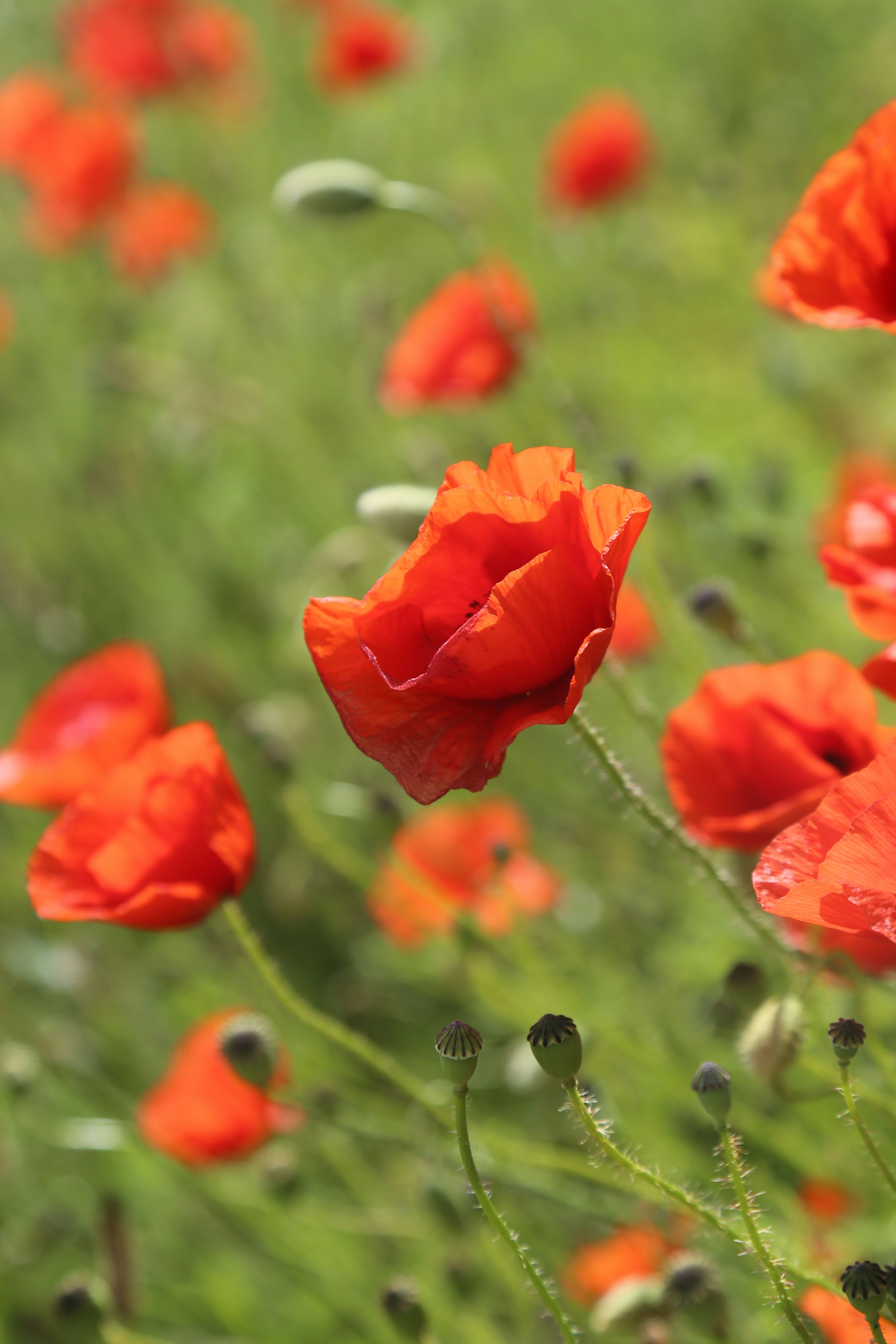 Photo by kelseyfarish