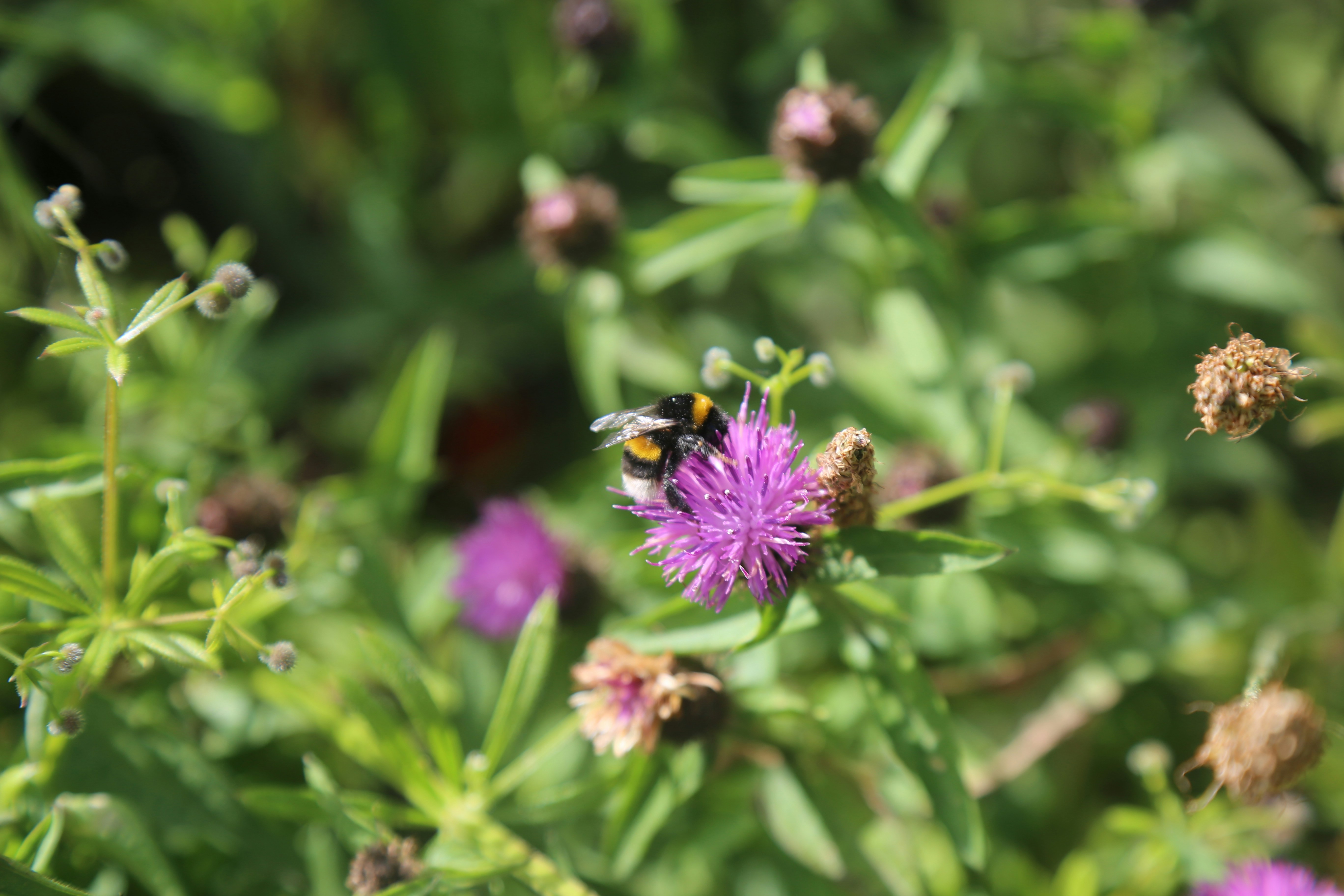 Photo by kelseyfarish