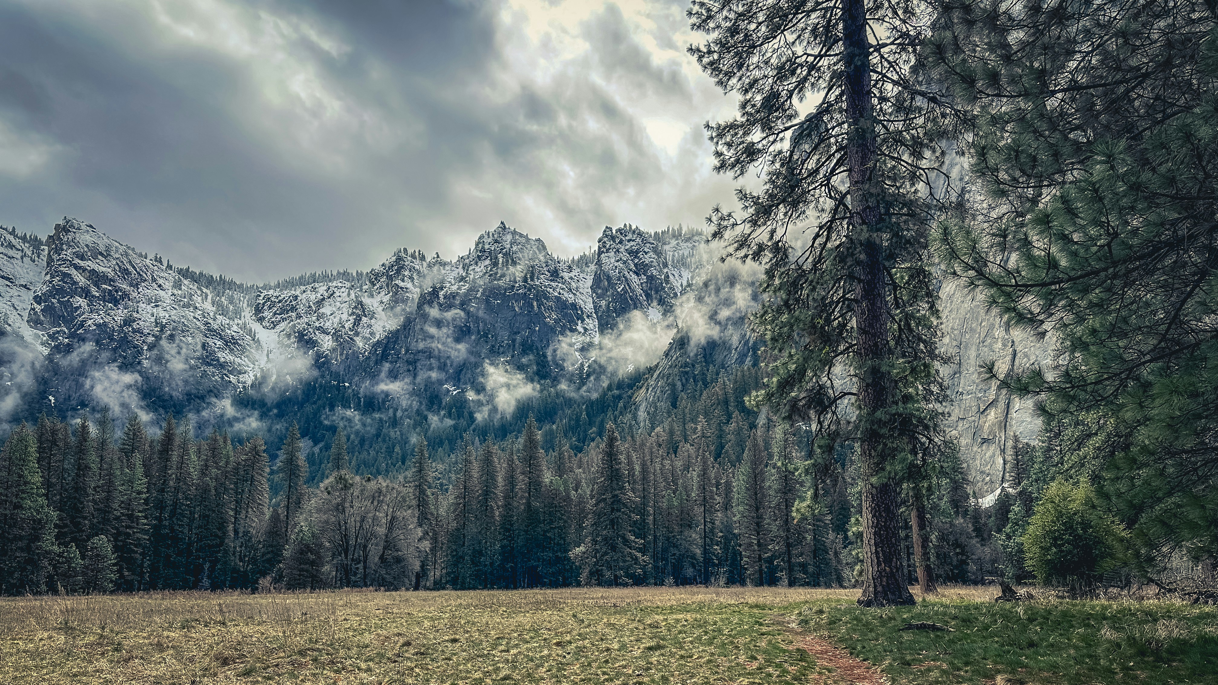 a grassy field with trees and mountains in the background