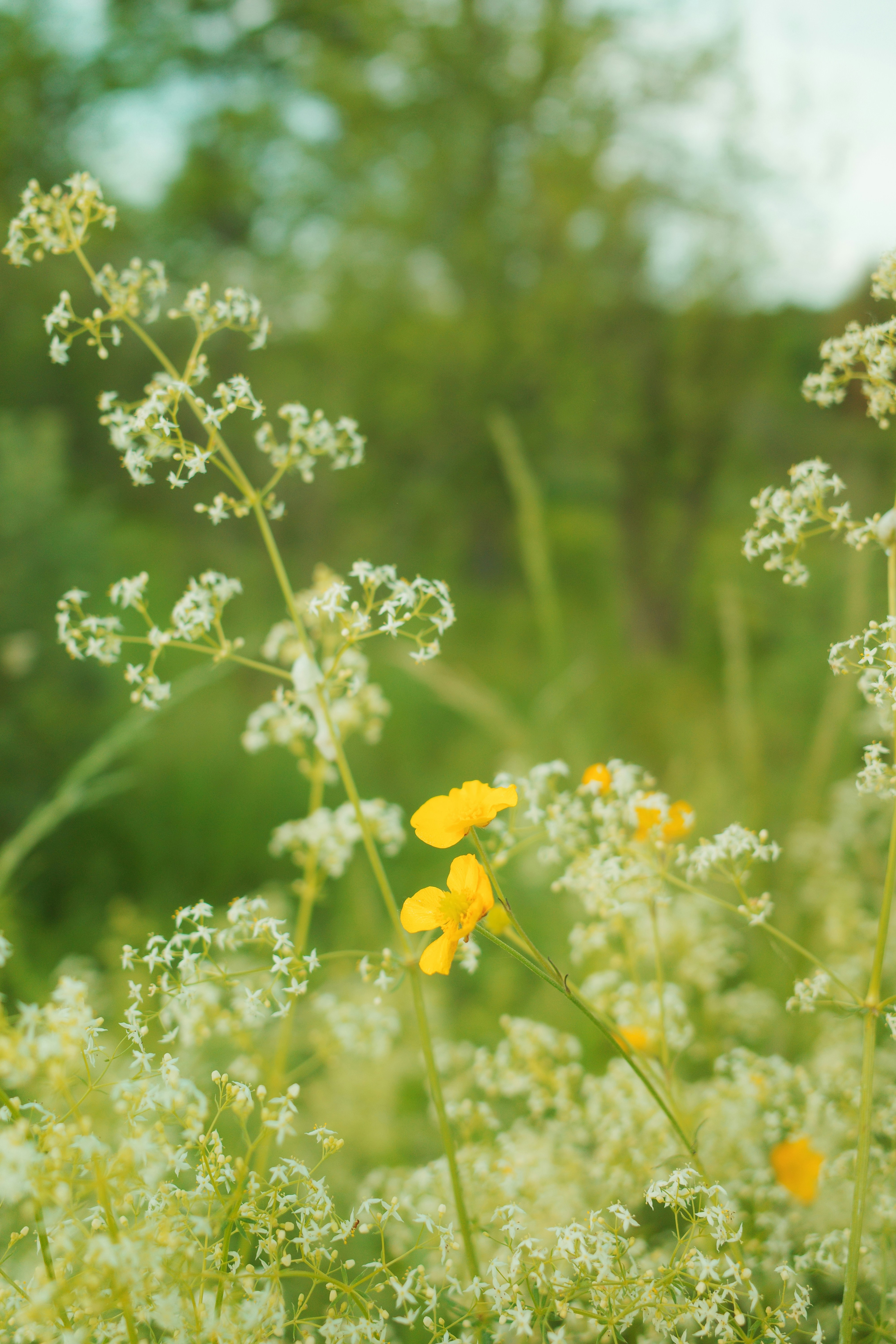 Photo by mochi_studios