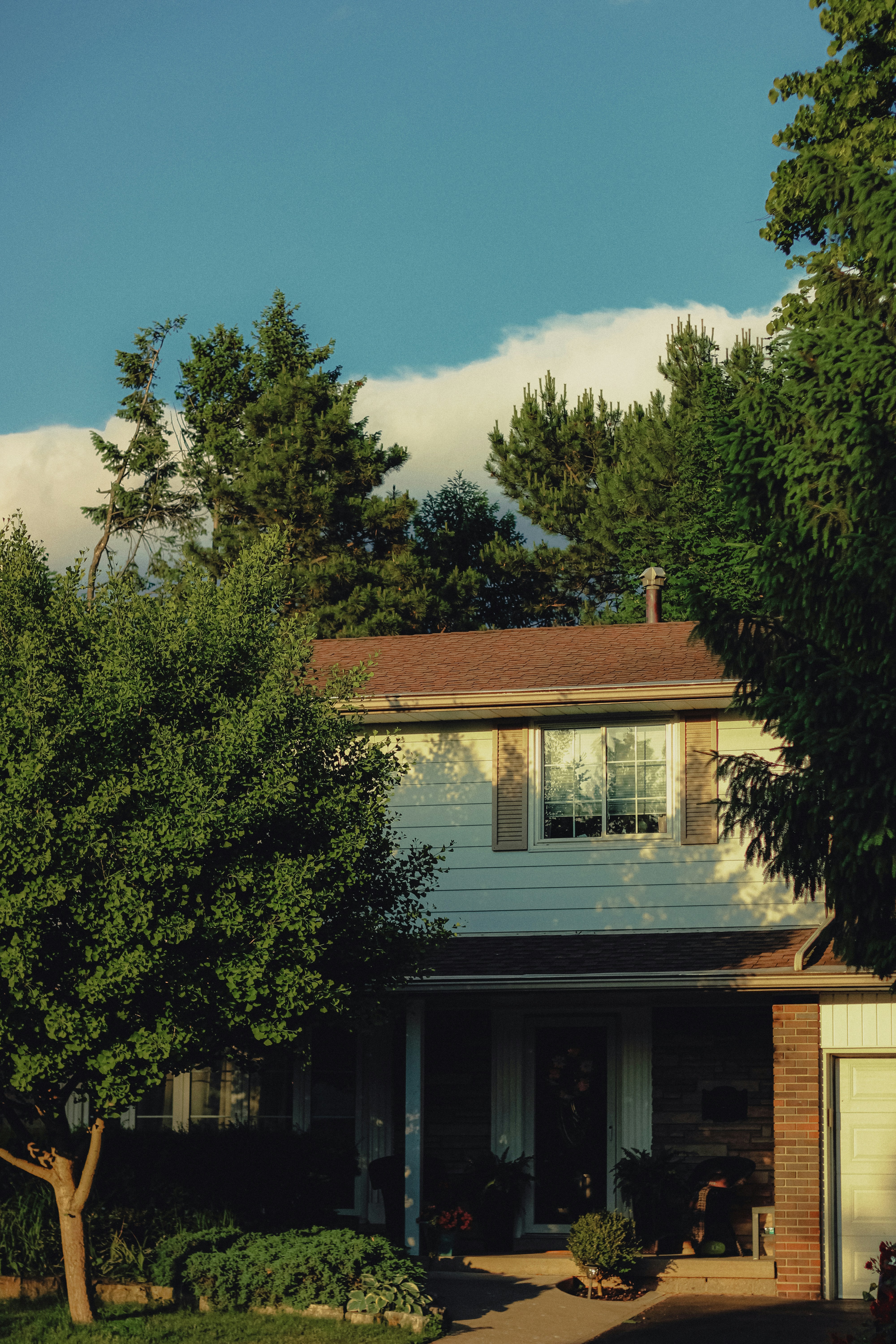 Photo by linusbelanger