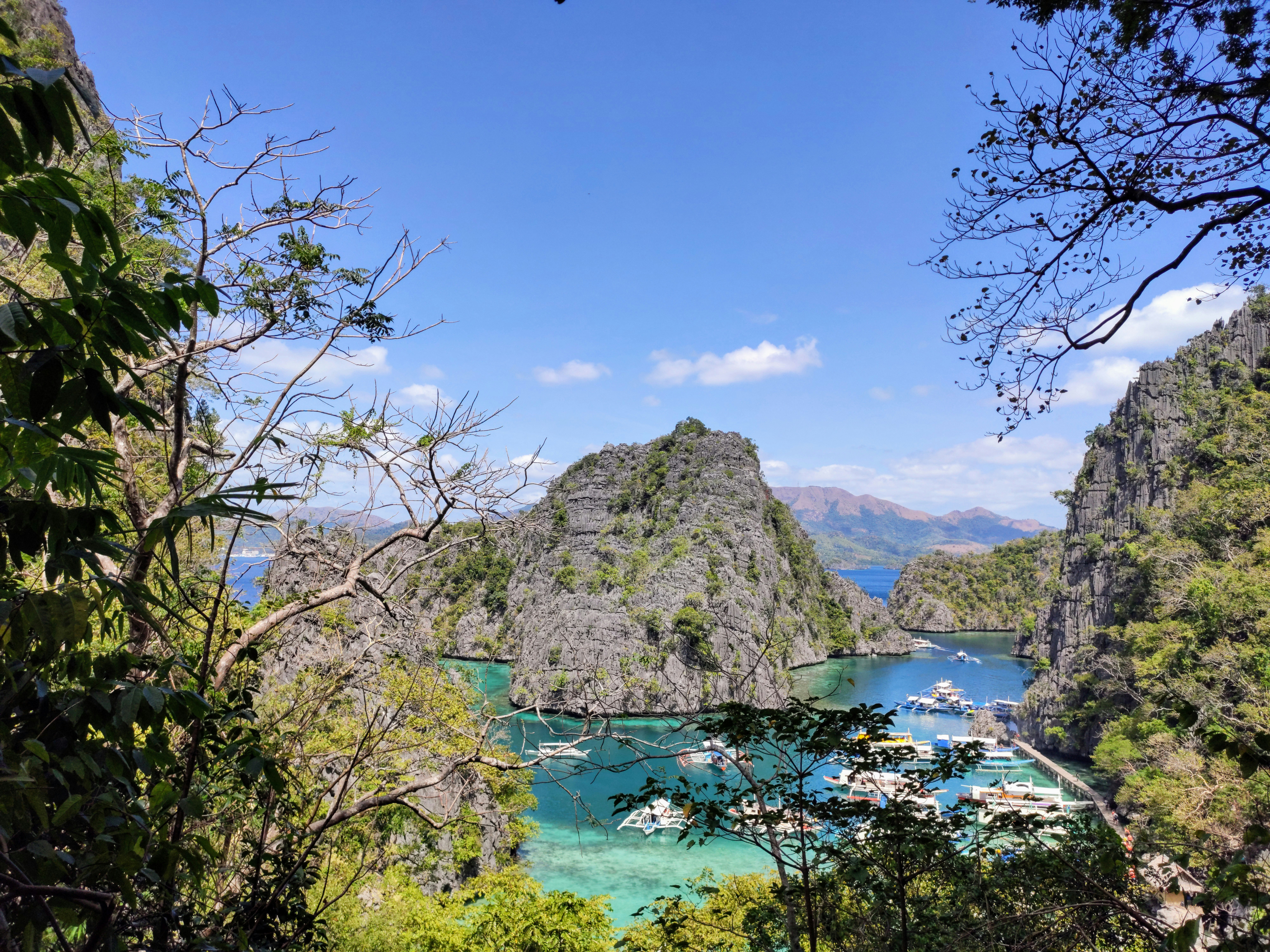 a view of a bay surrounded by trees and mountains