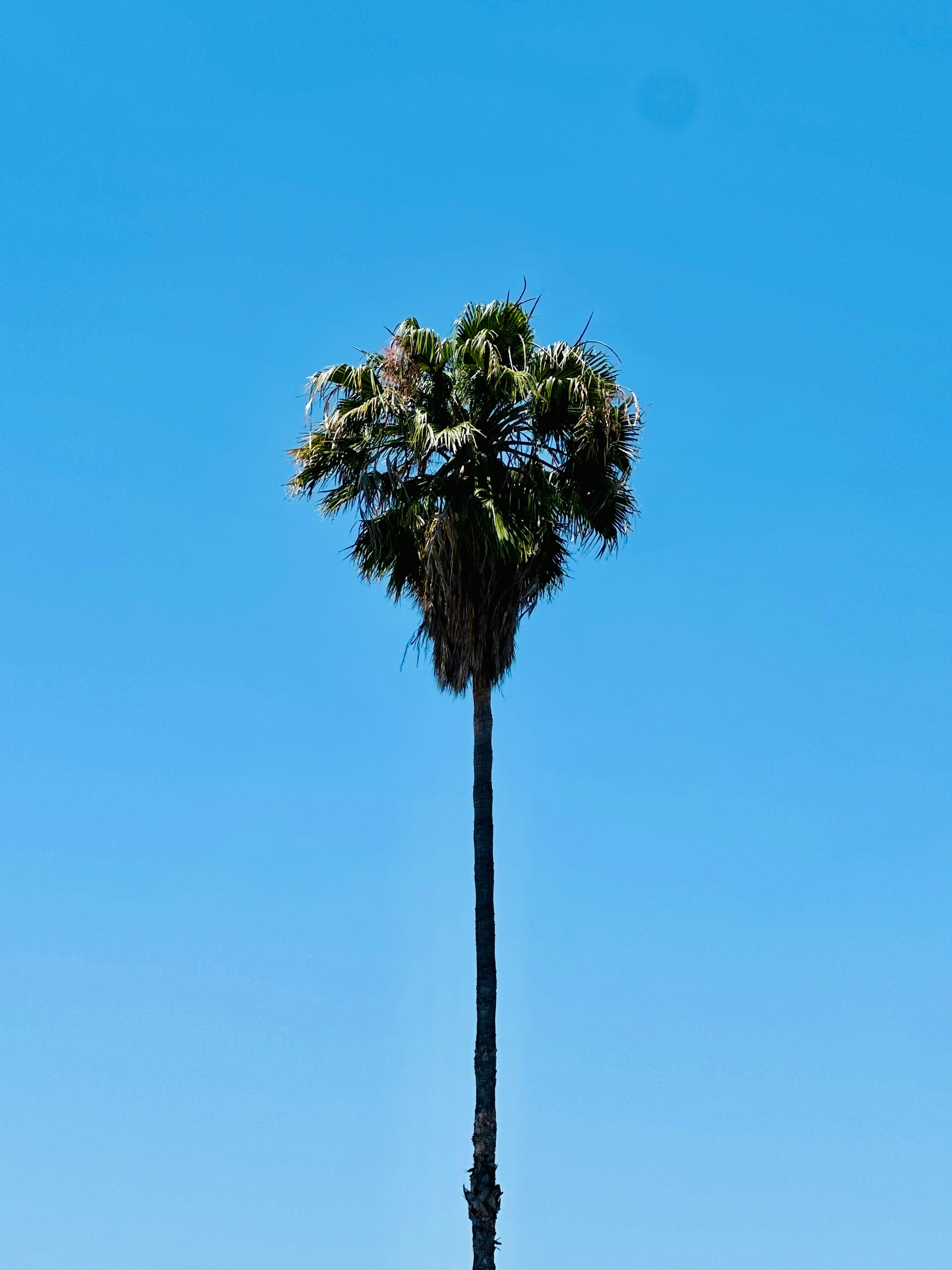 Photo by pricestudios