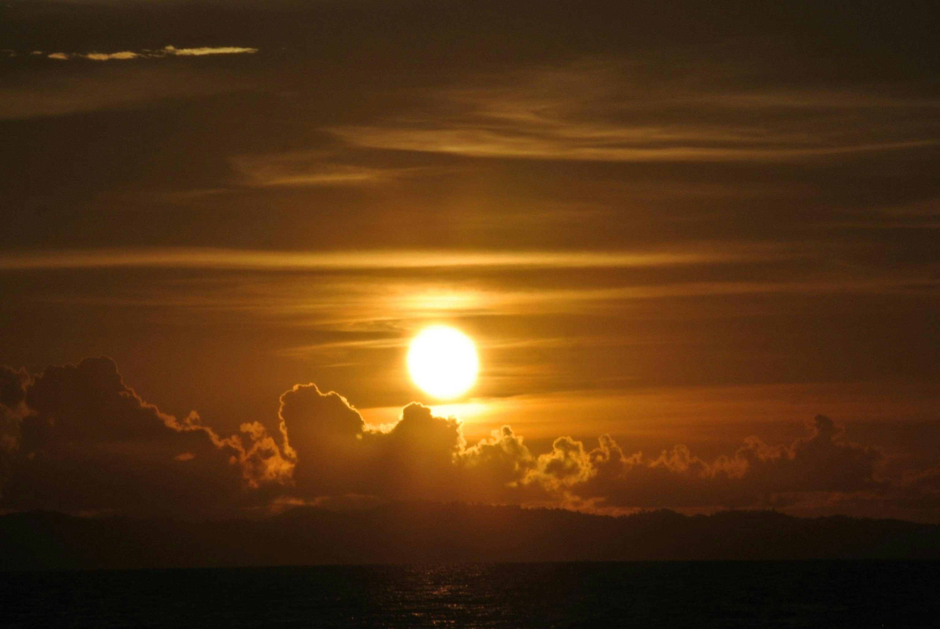 About Island Thinker