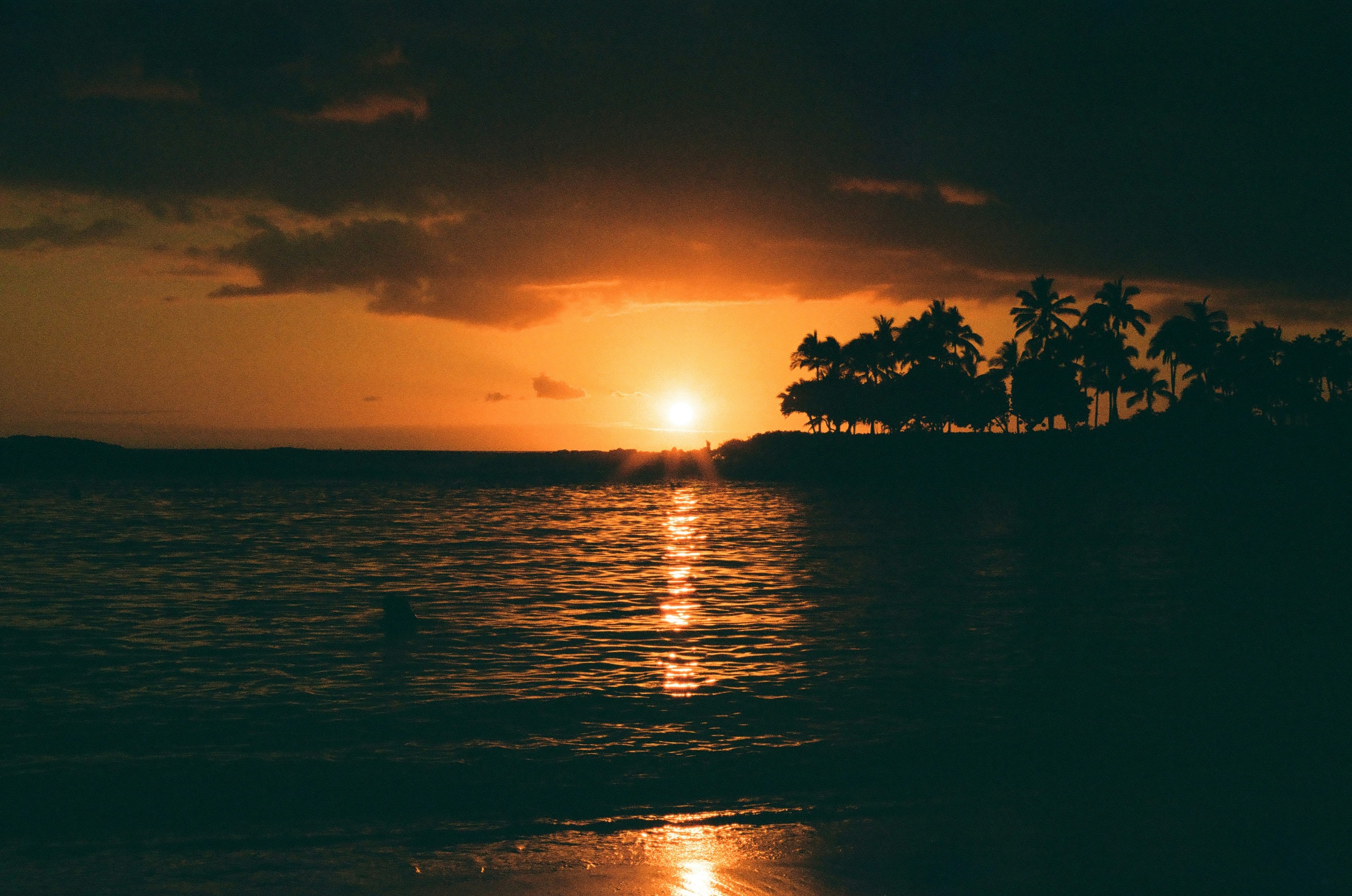 a person swimming in the ocean at sunset, Sunset Silhouette of the beach in Hawaii. Shot on Kodak Ultramax 400.