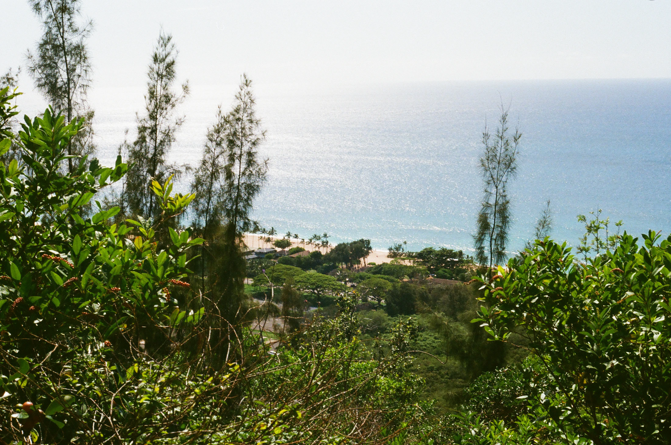 Grüne Küstenlandschaft an Oahus North Shore nördlich von Honolulu