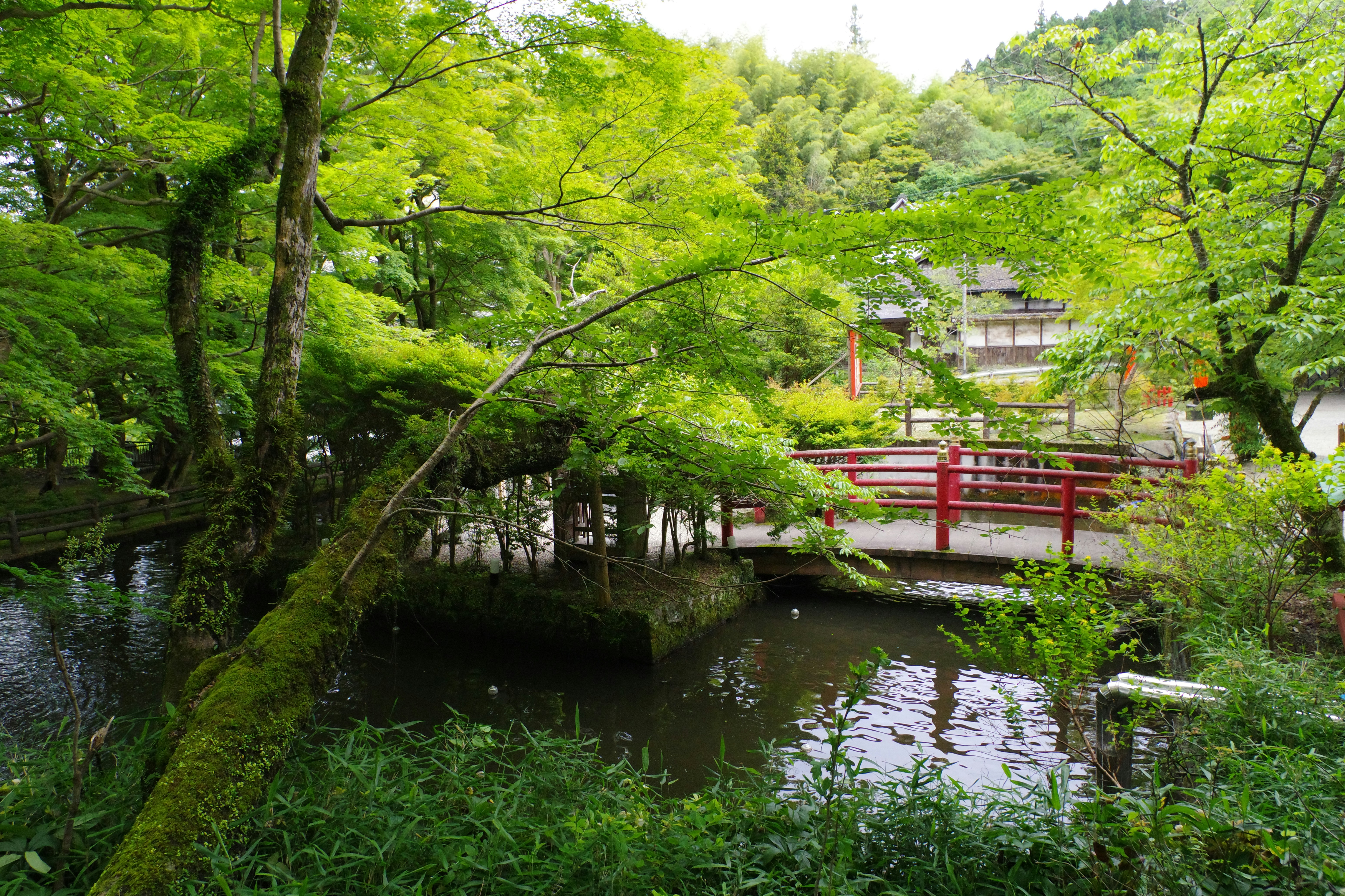 Japanese wellness guide