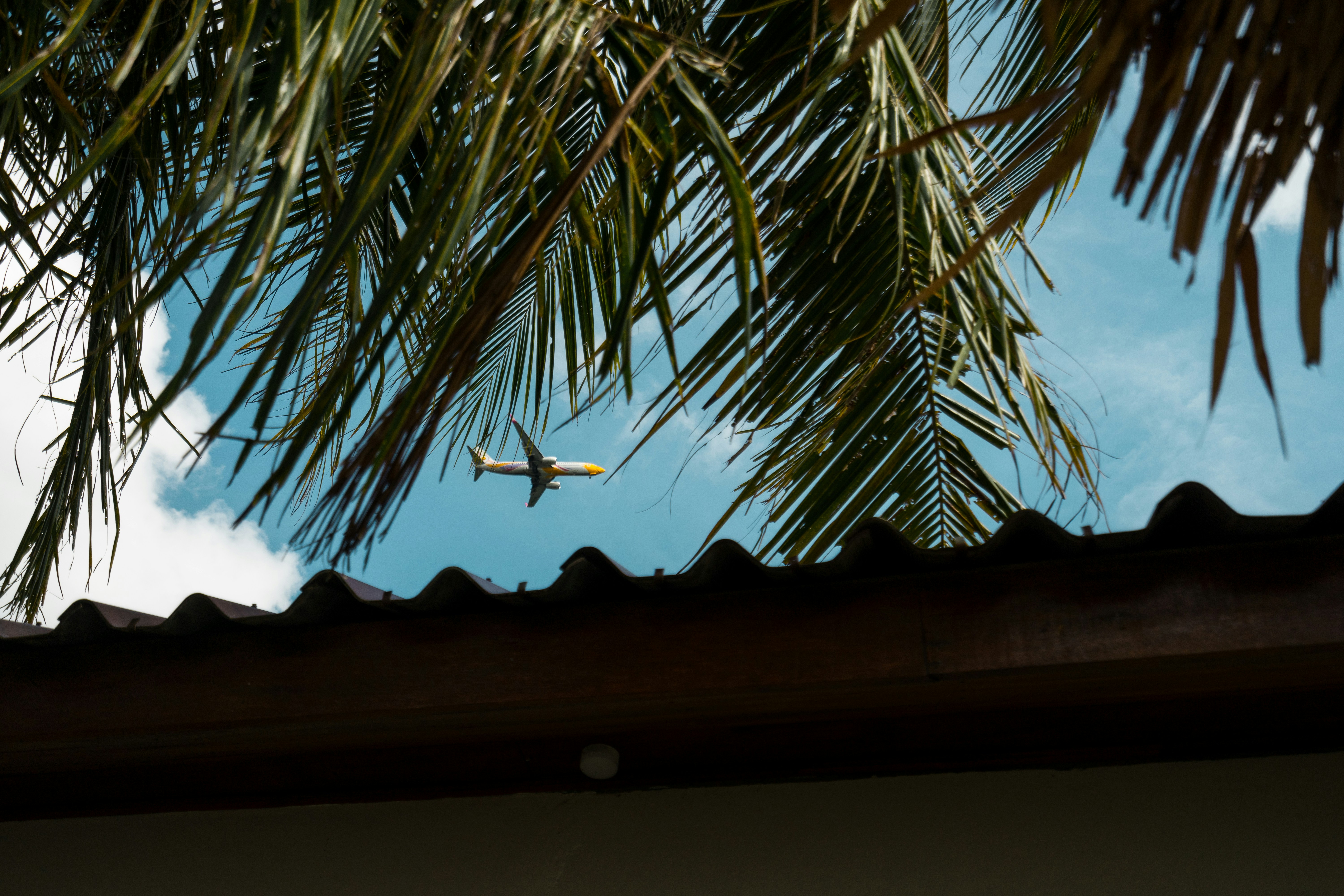 8 Best Luxurious Travel Destinations in India for Expats and Foreign Travellers