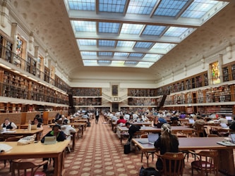 Student studying and learning