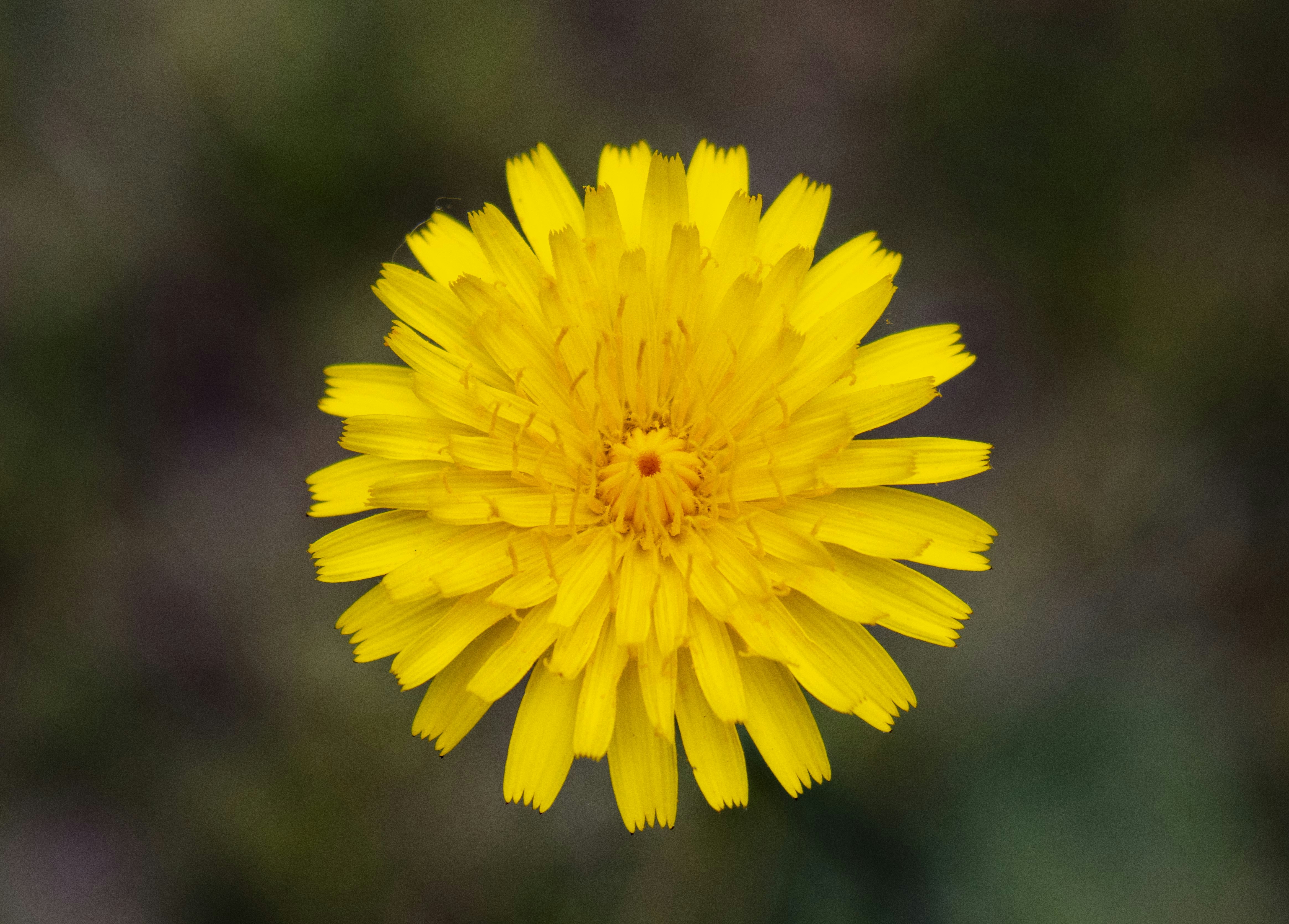 Photo by daveheart78