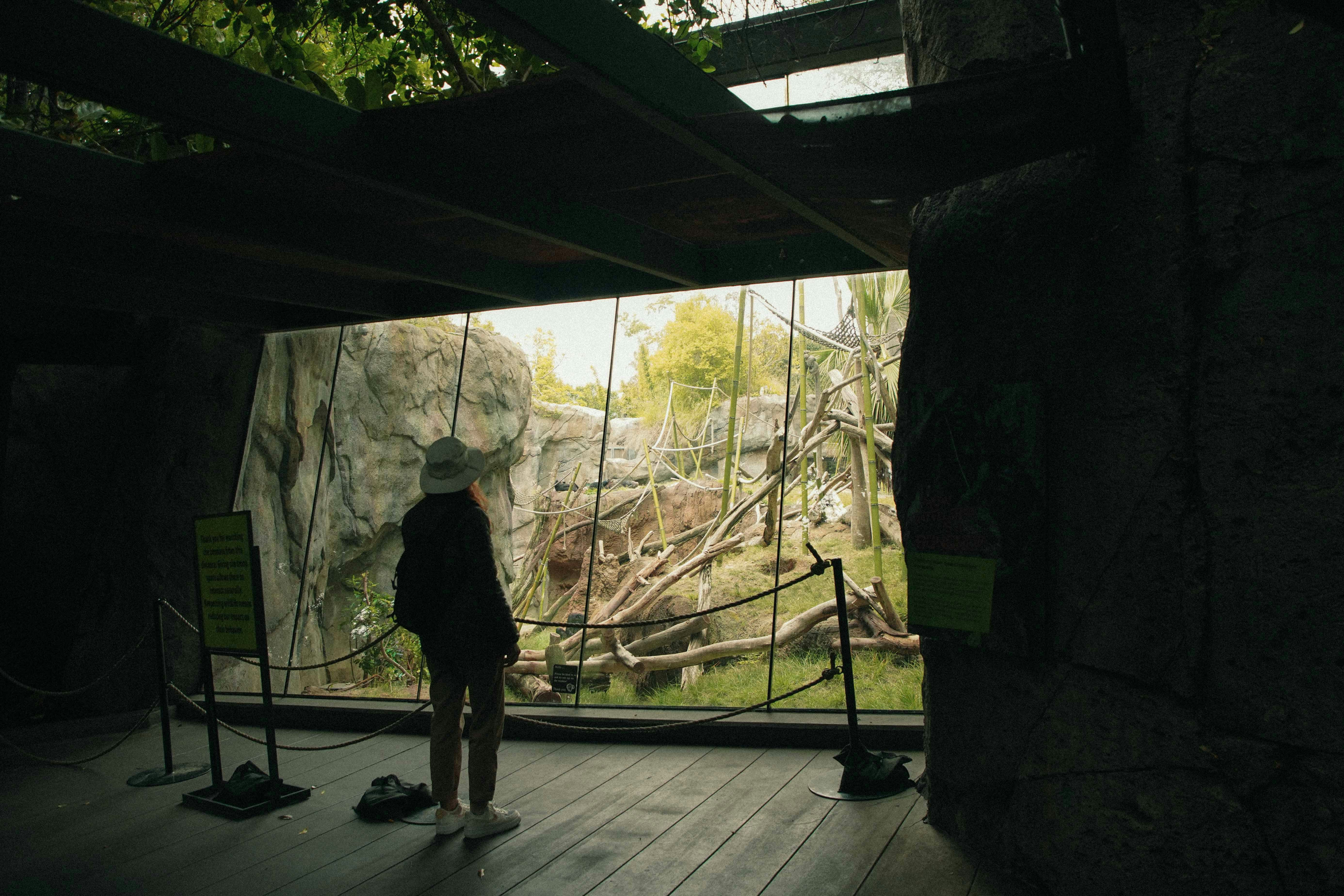 San Diego Zoo Safari Park