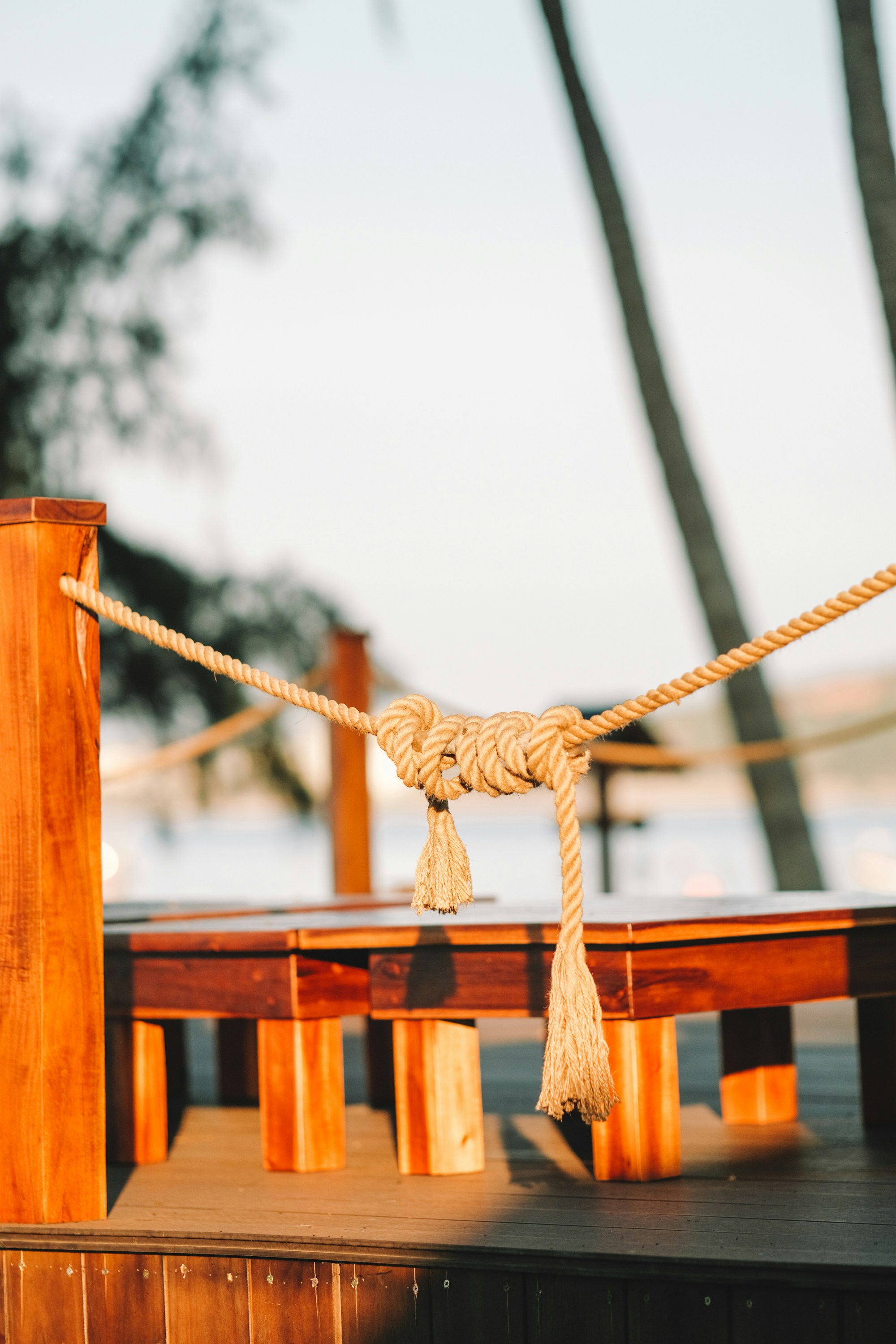 Photo by nguyentrungnguyen