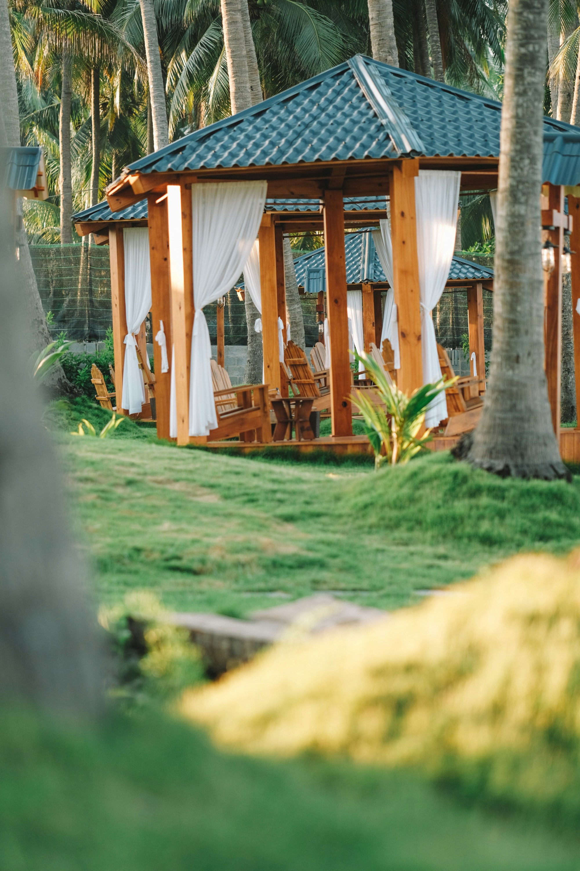 Photo by nguyentrungnguyen