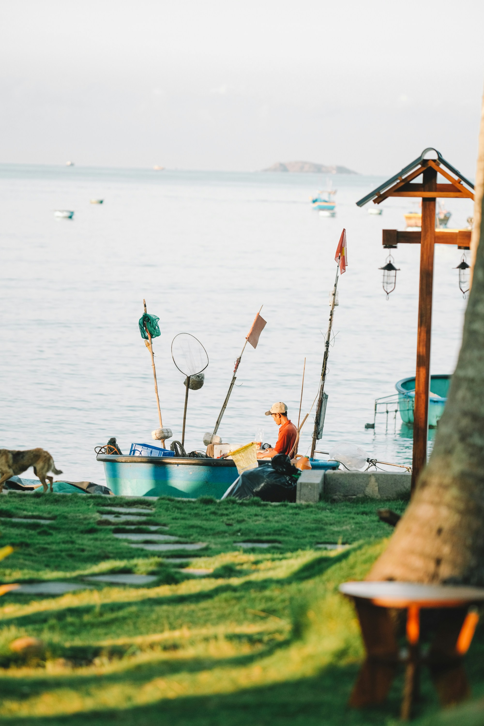 Photo by nguyentrungnguyen