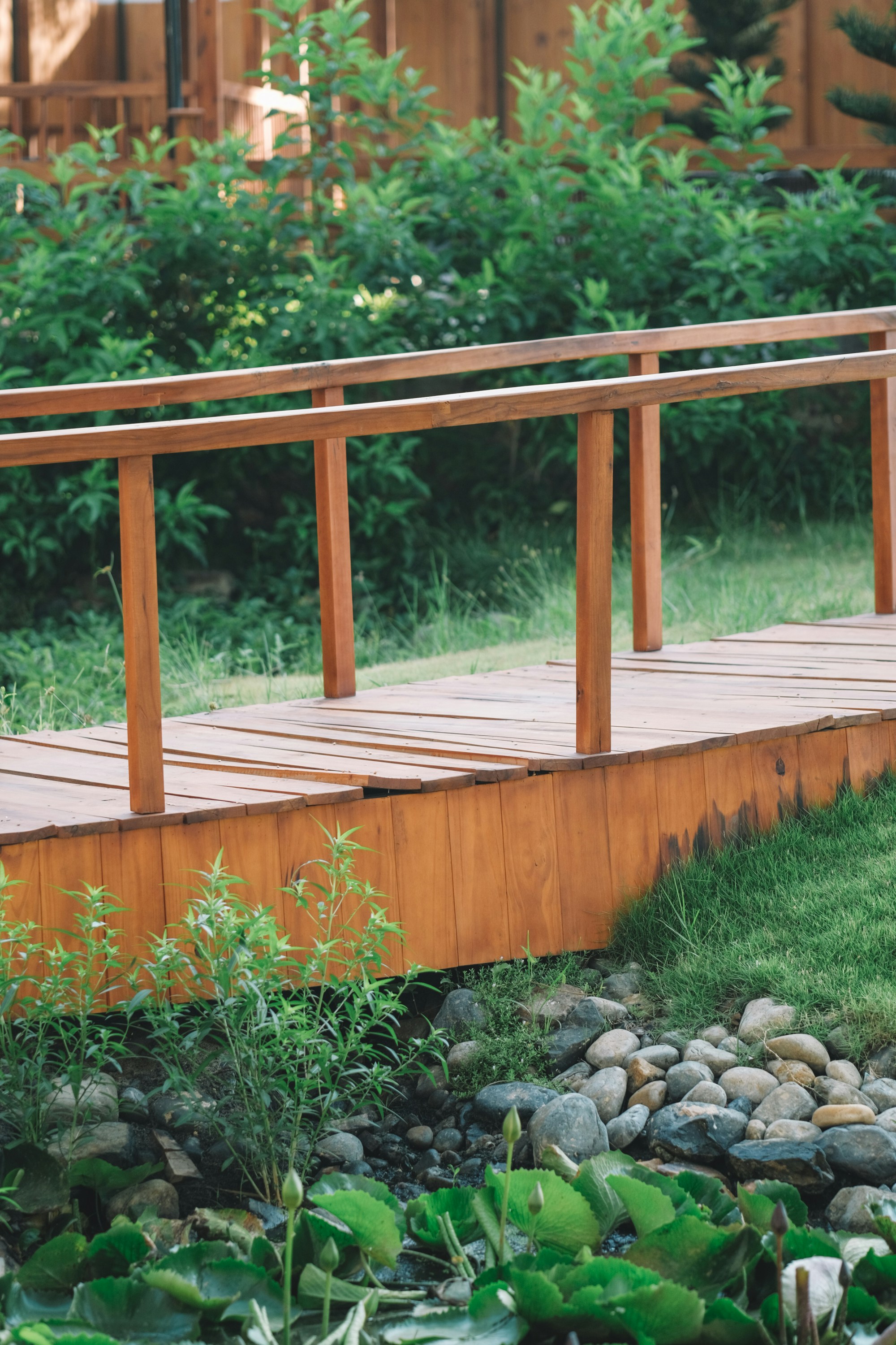 Photo by nguyentrungnguyen