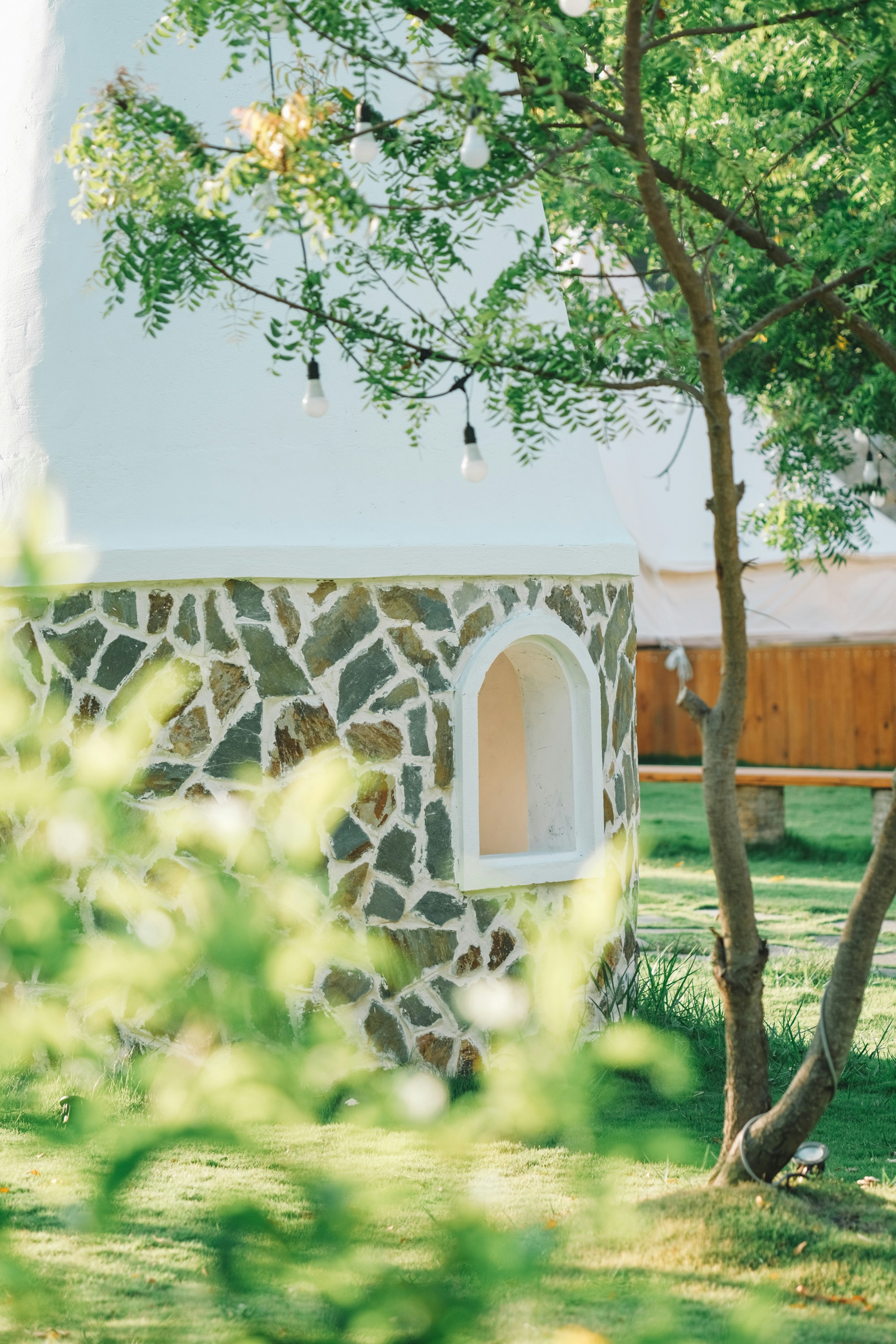 Photo by nguyentrungnguyen