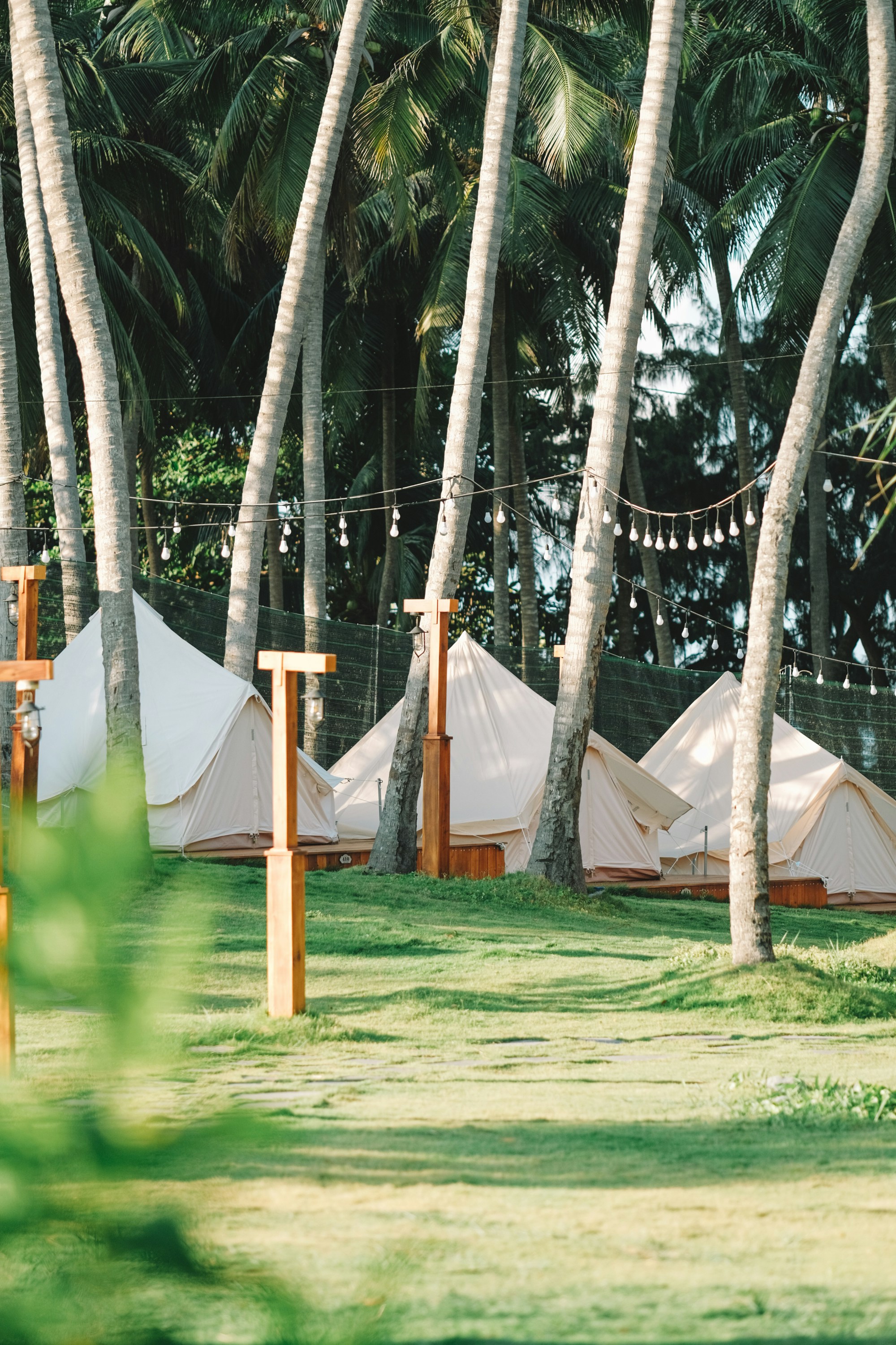 Photo by nguyentrungnguyen