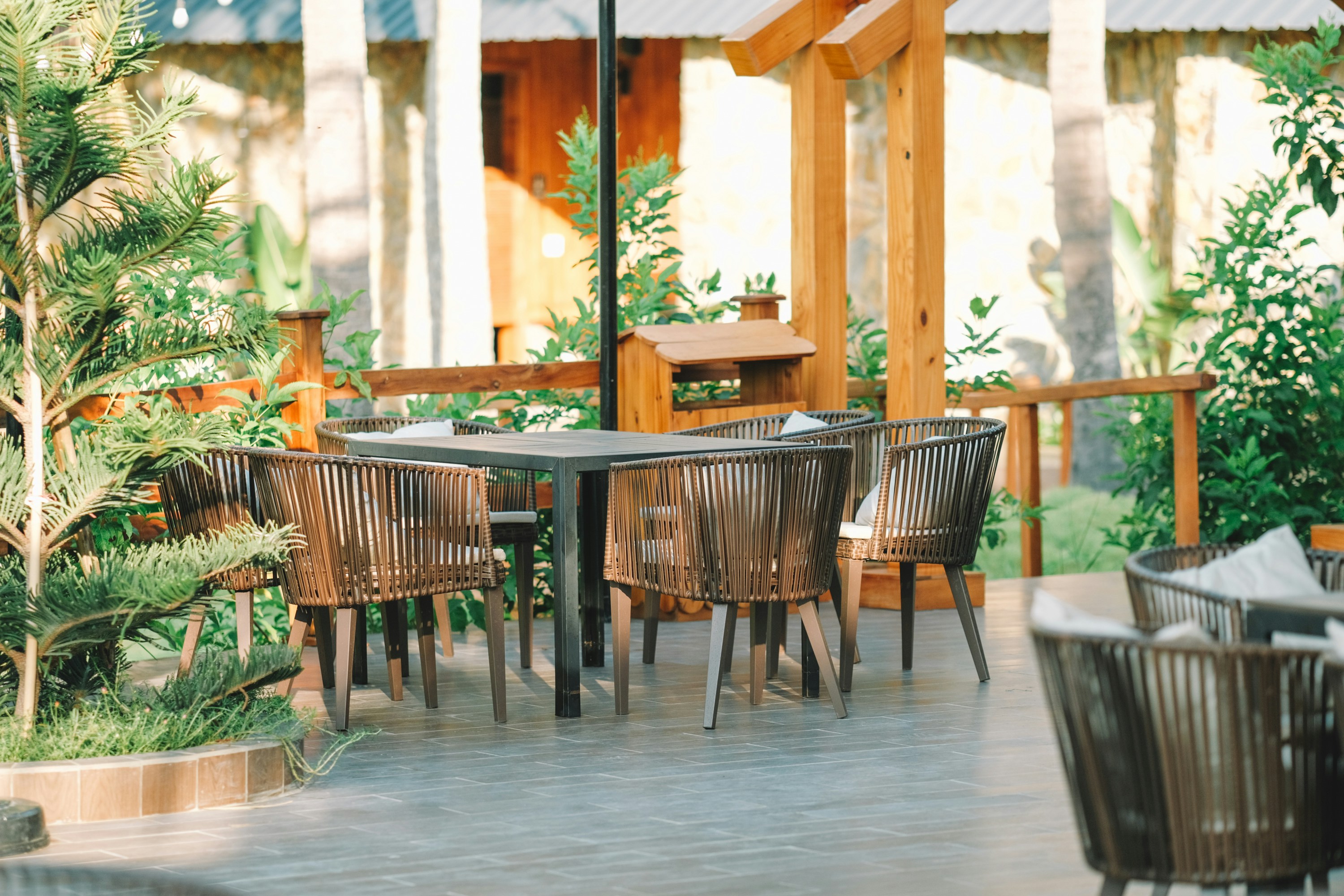 Photo by nguyentrungnguyen