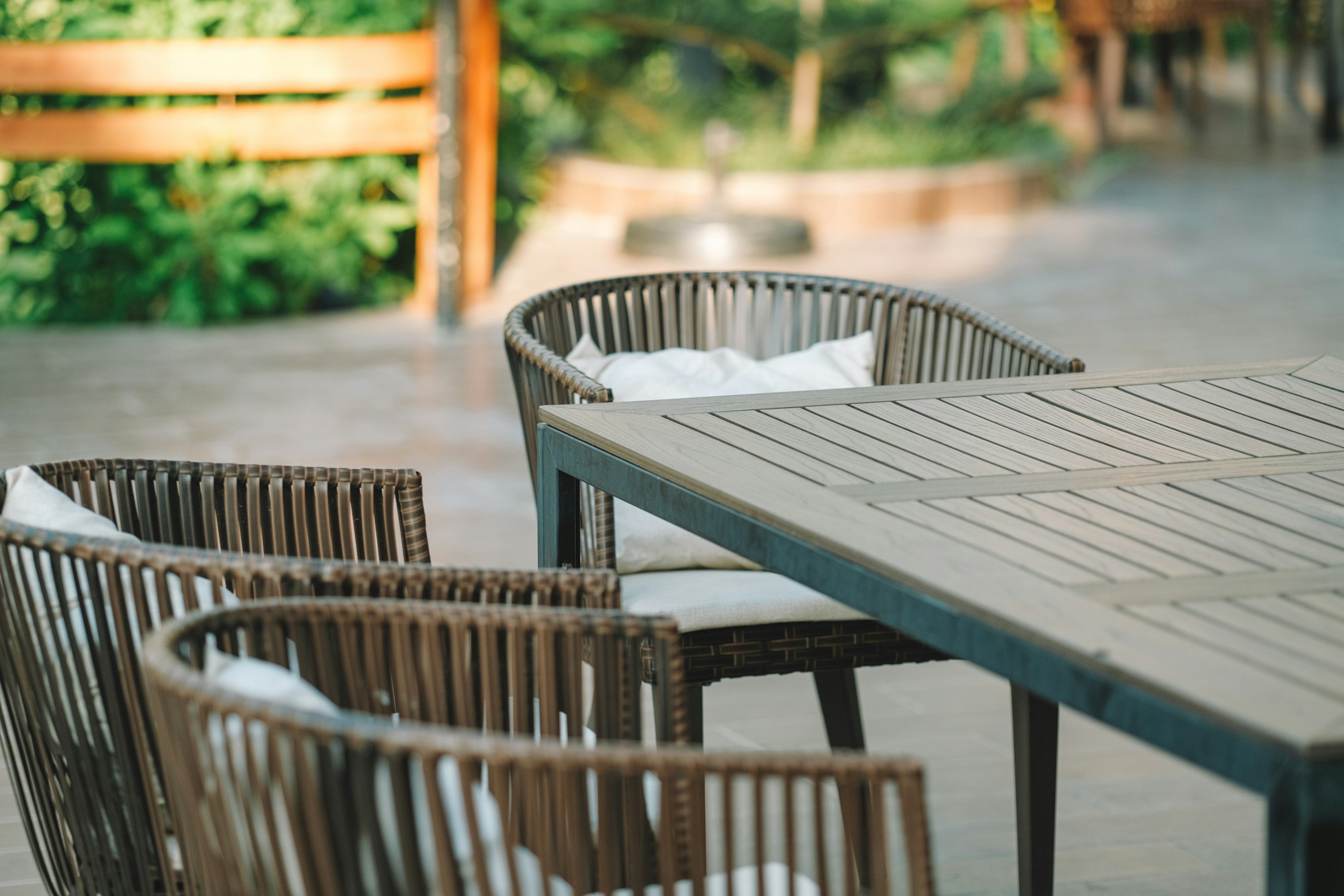 Photo by nguyentrungnguyen