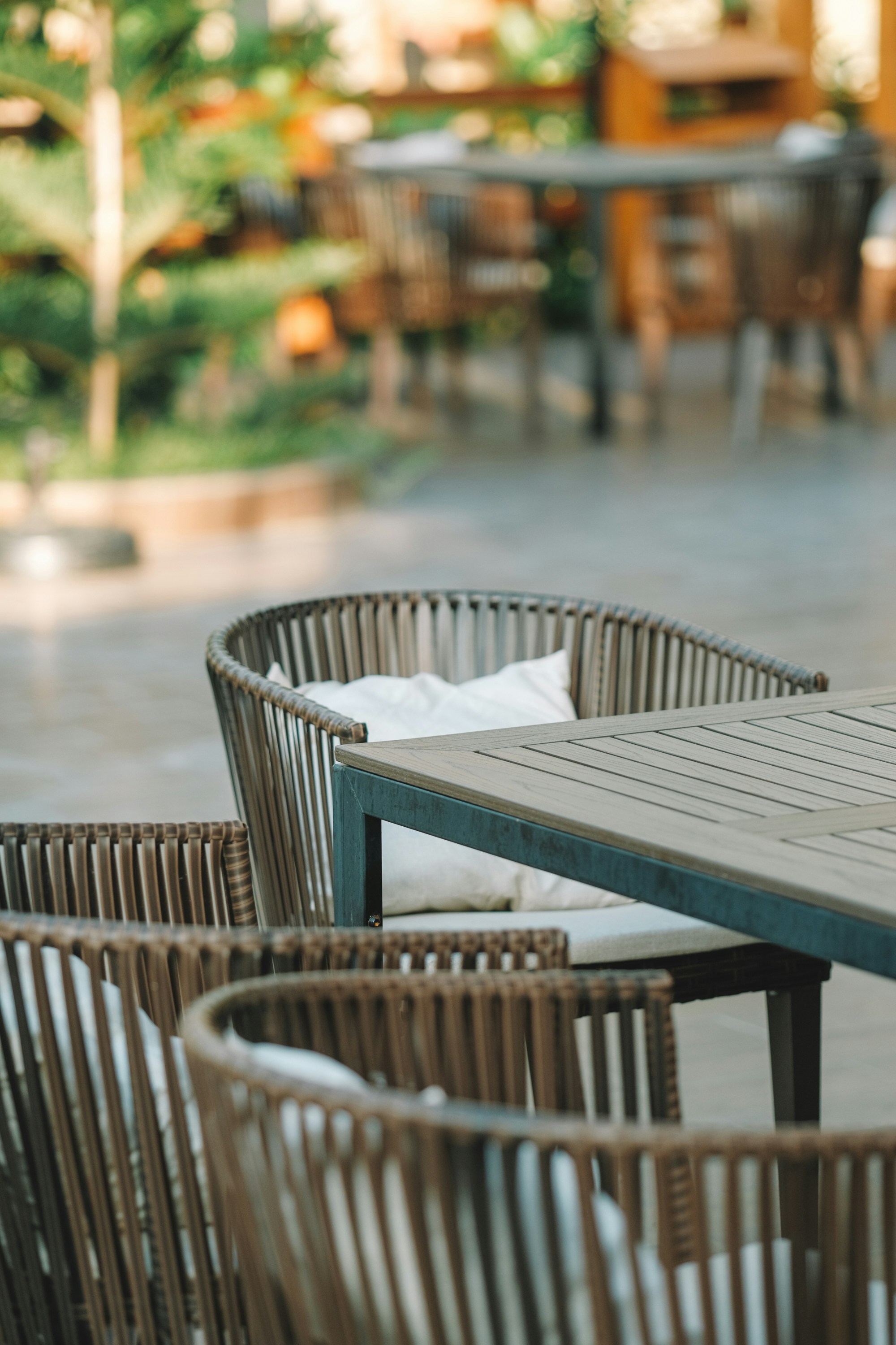 Photo by nguyentrungnguyen