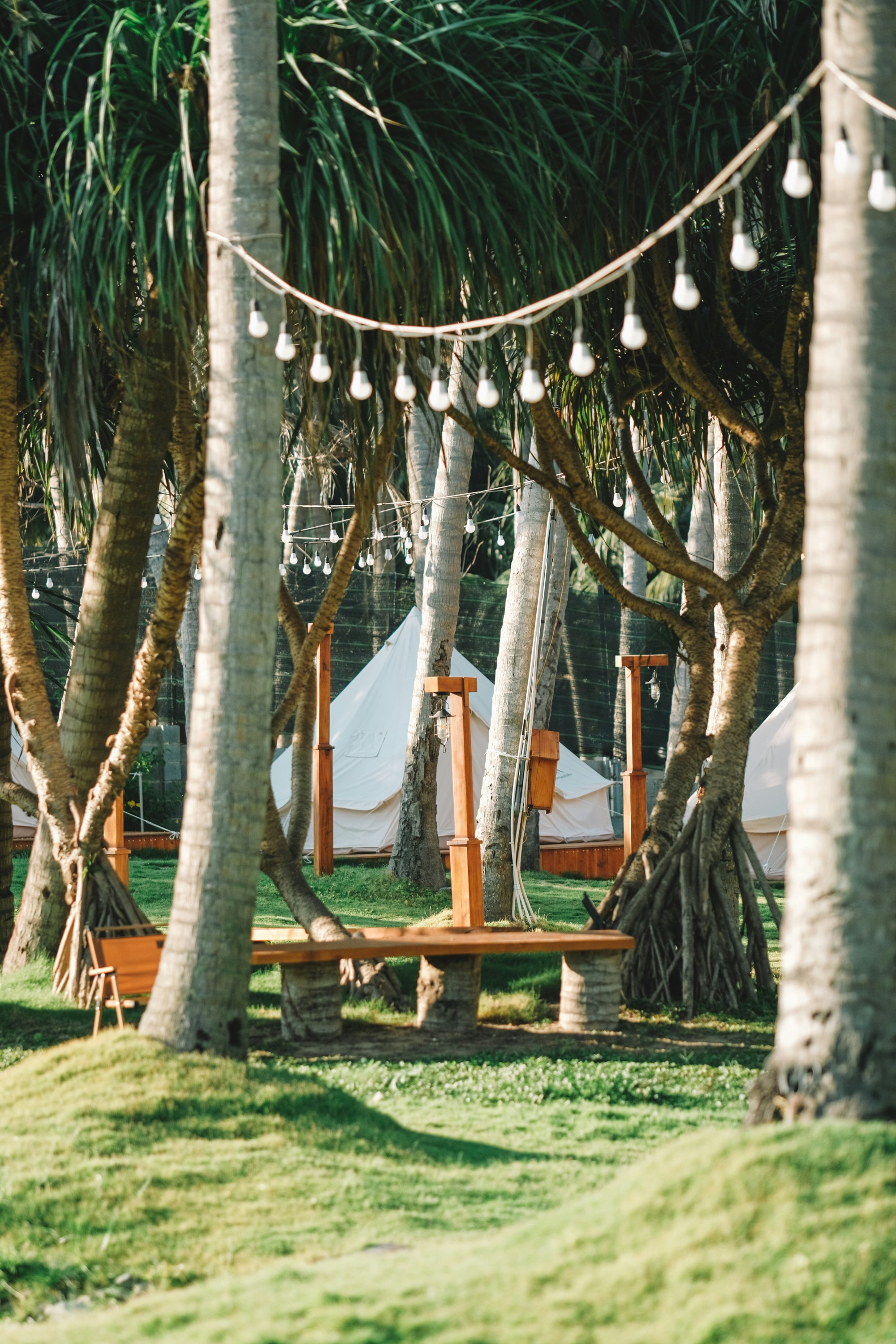 Photo by nguyentrungnguyen