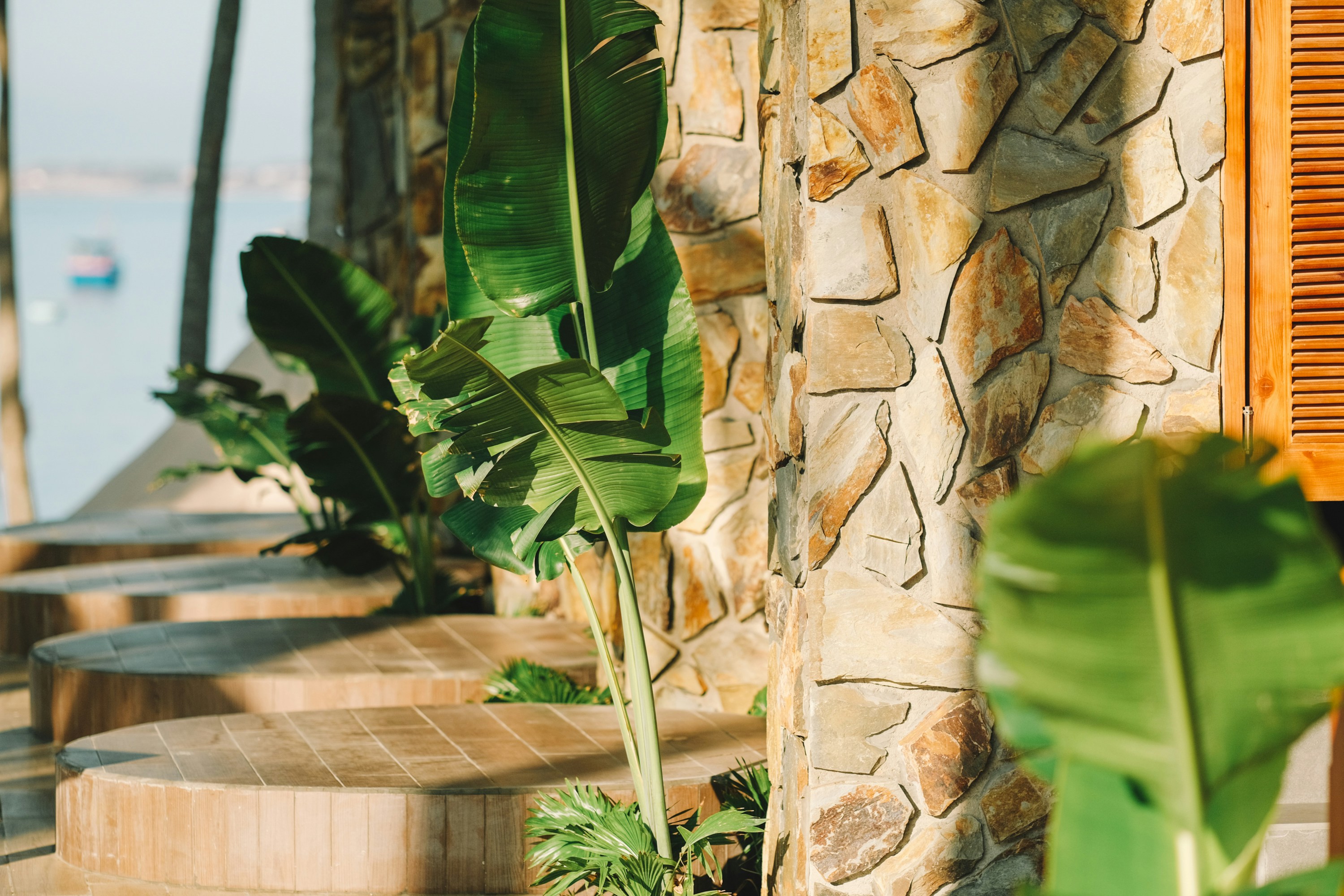 Photo by nguyentrungnguyen