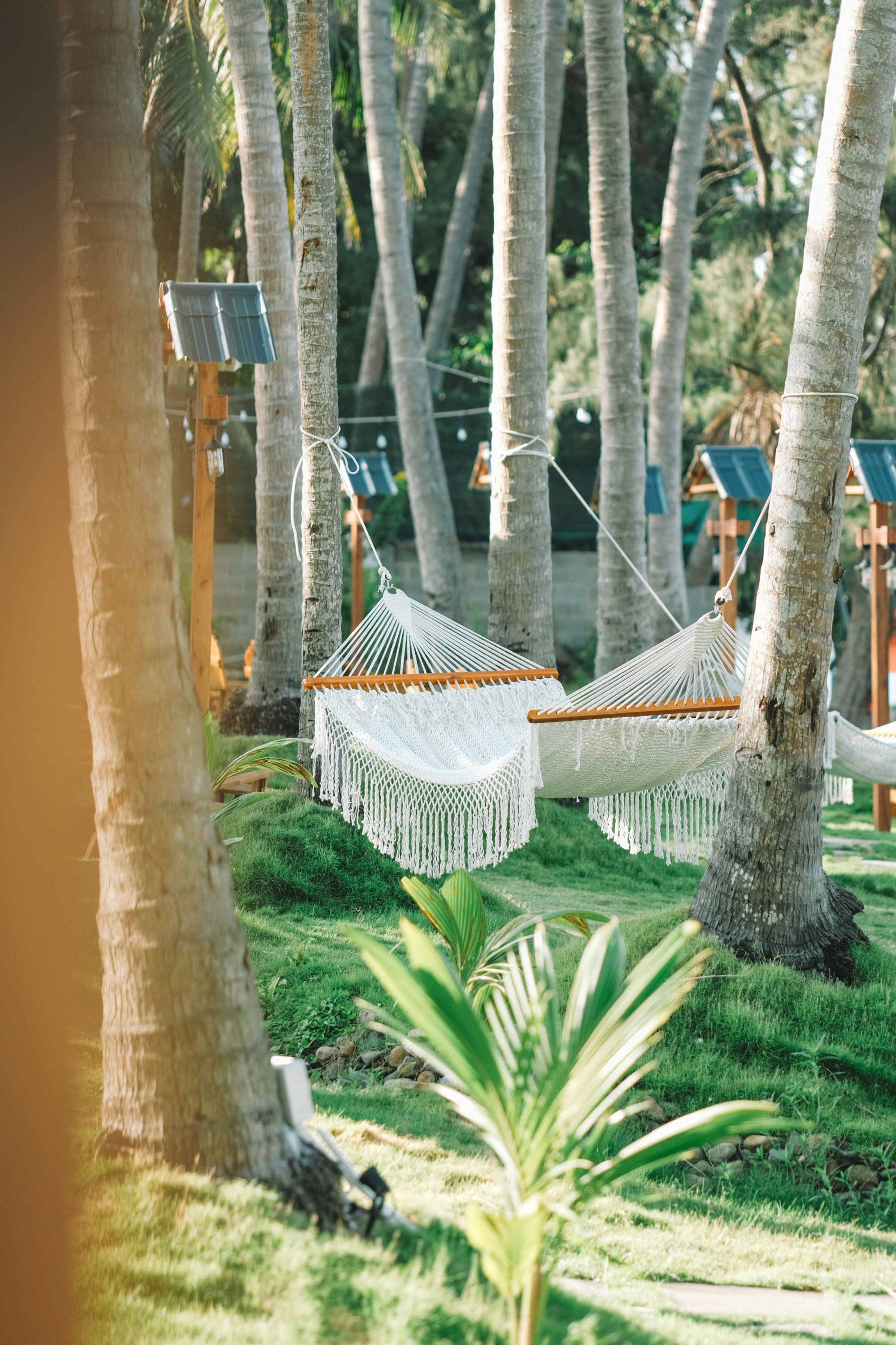 Photo by nguyentrungnguyen