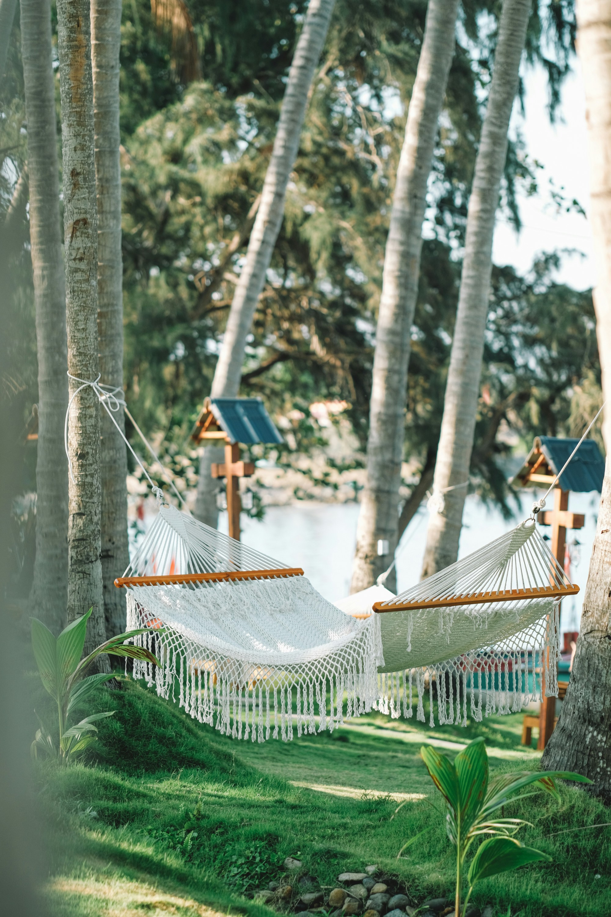 Photo by nguyentrungnguyen