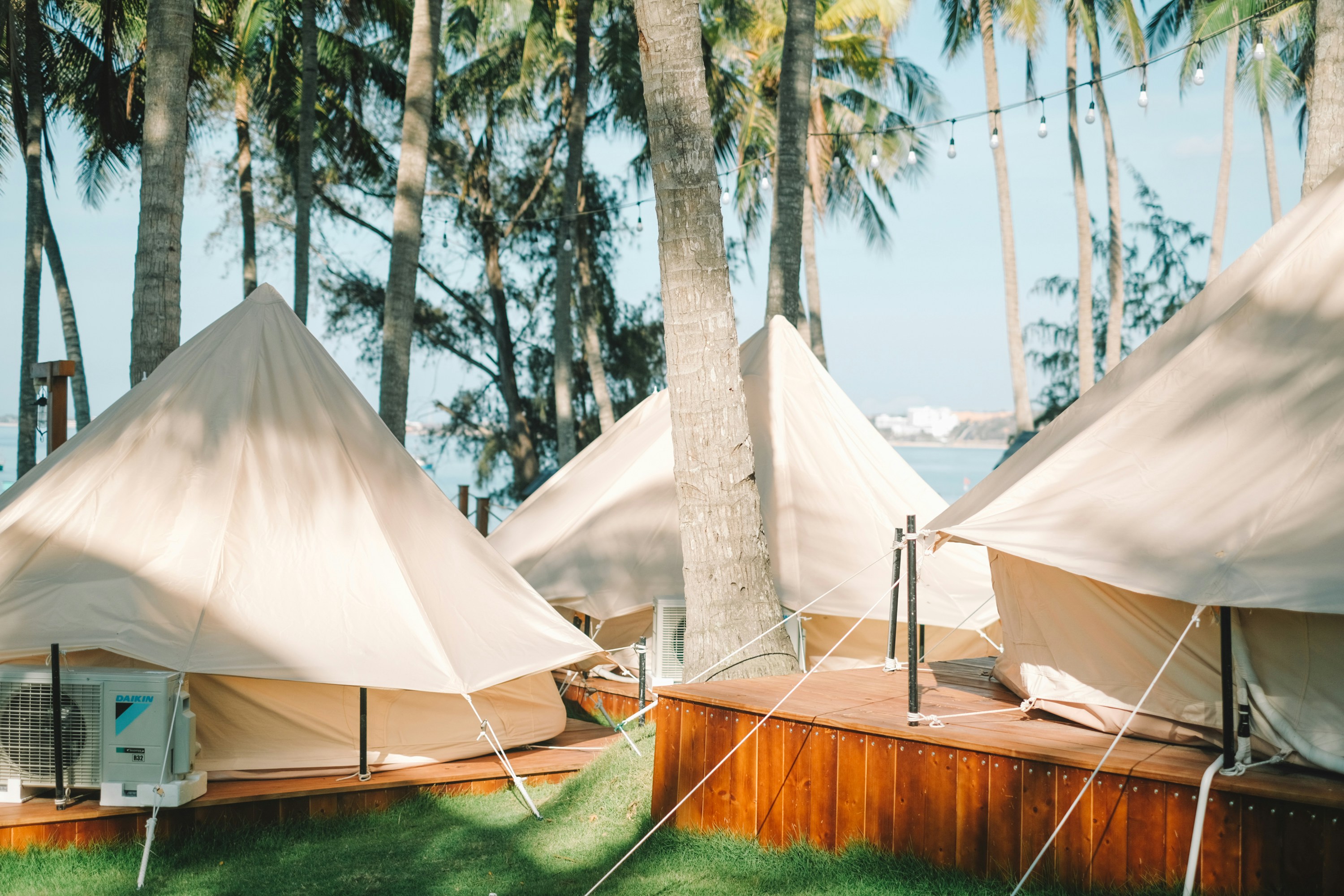 Photo by nguyentrungnguyen