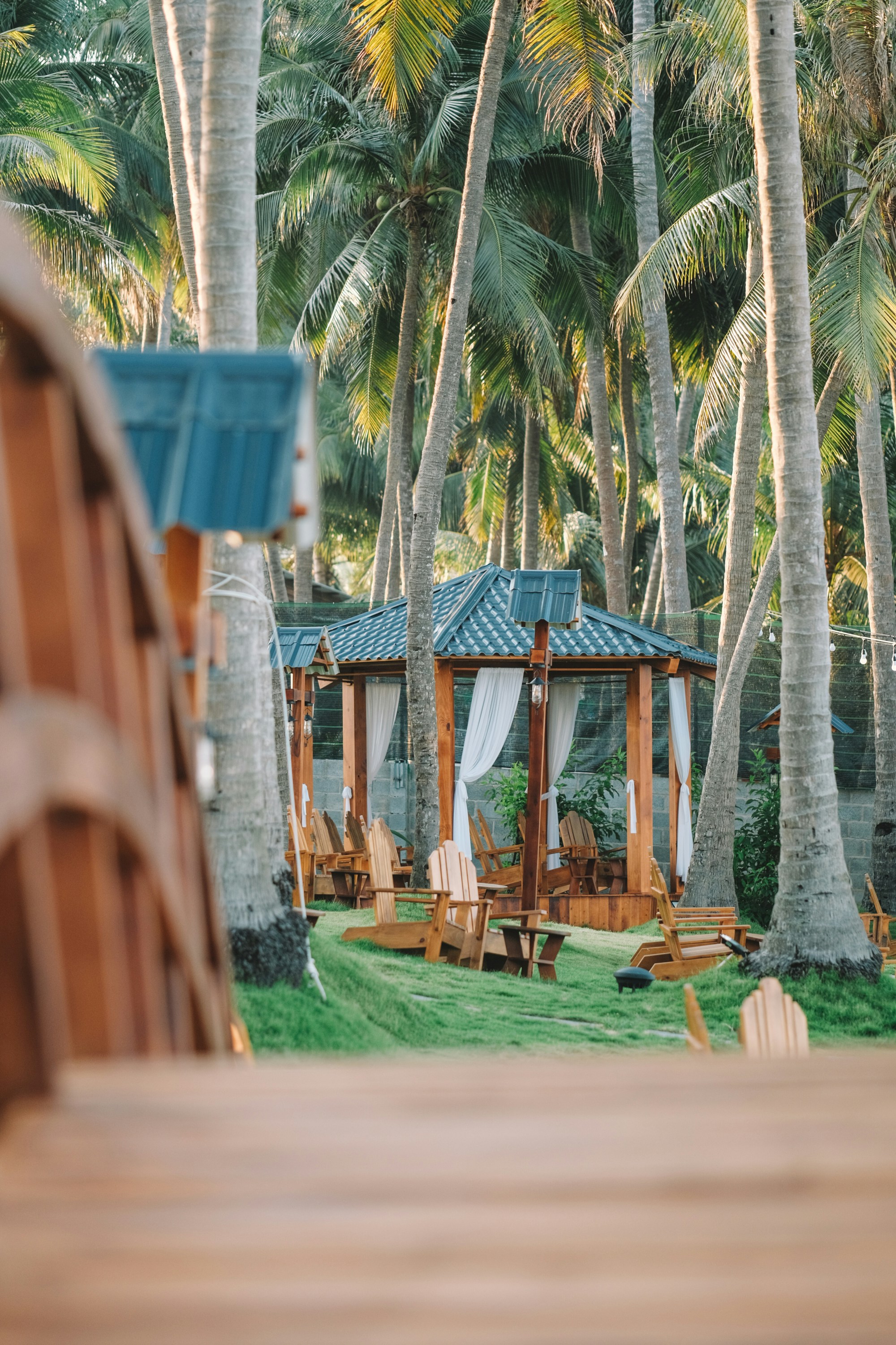 Photo by nguyentrungnguyen