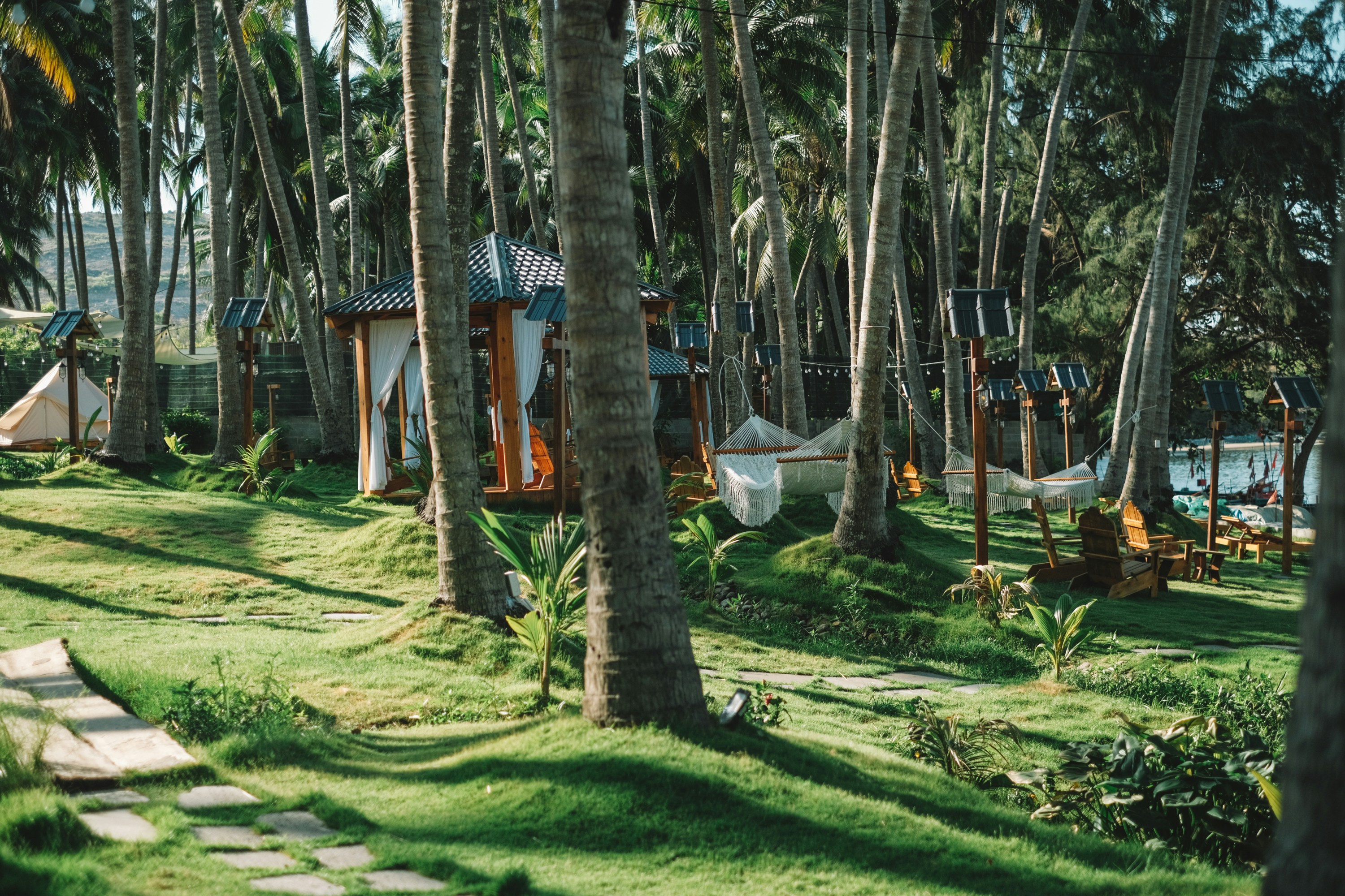 Photo by nguyentrungnguyen