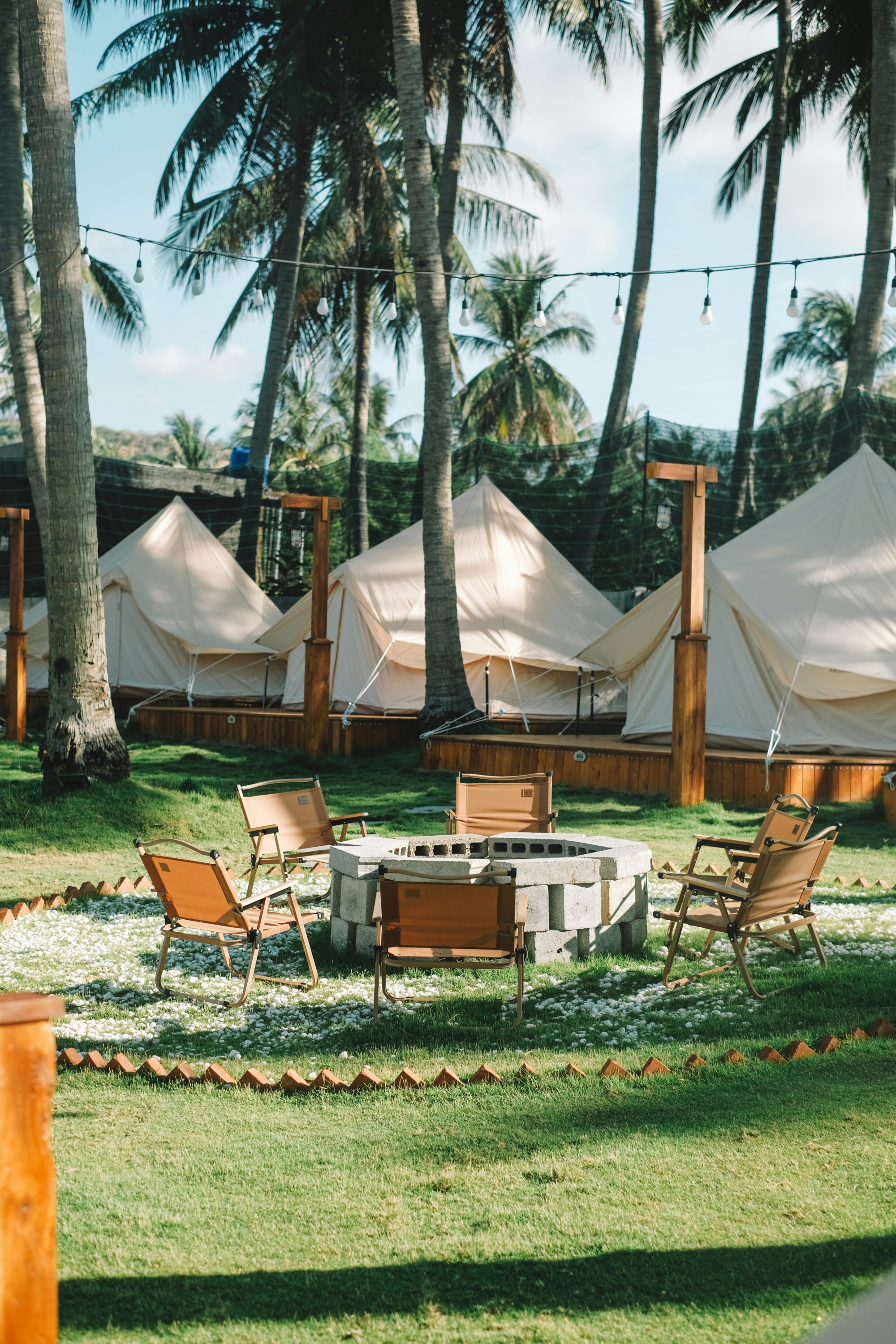 Photo by nguyentrungnguyen