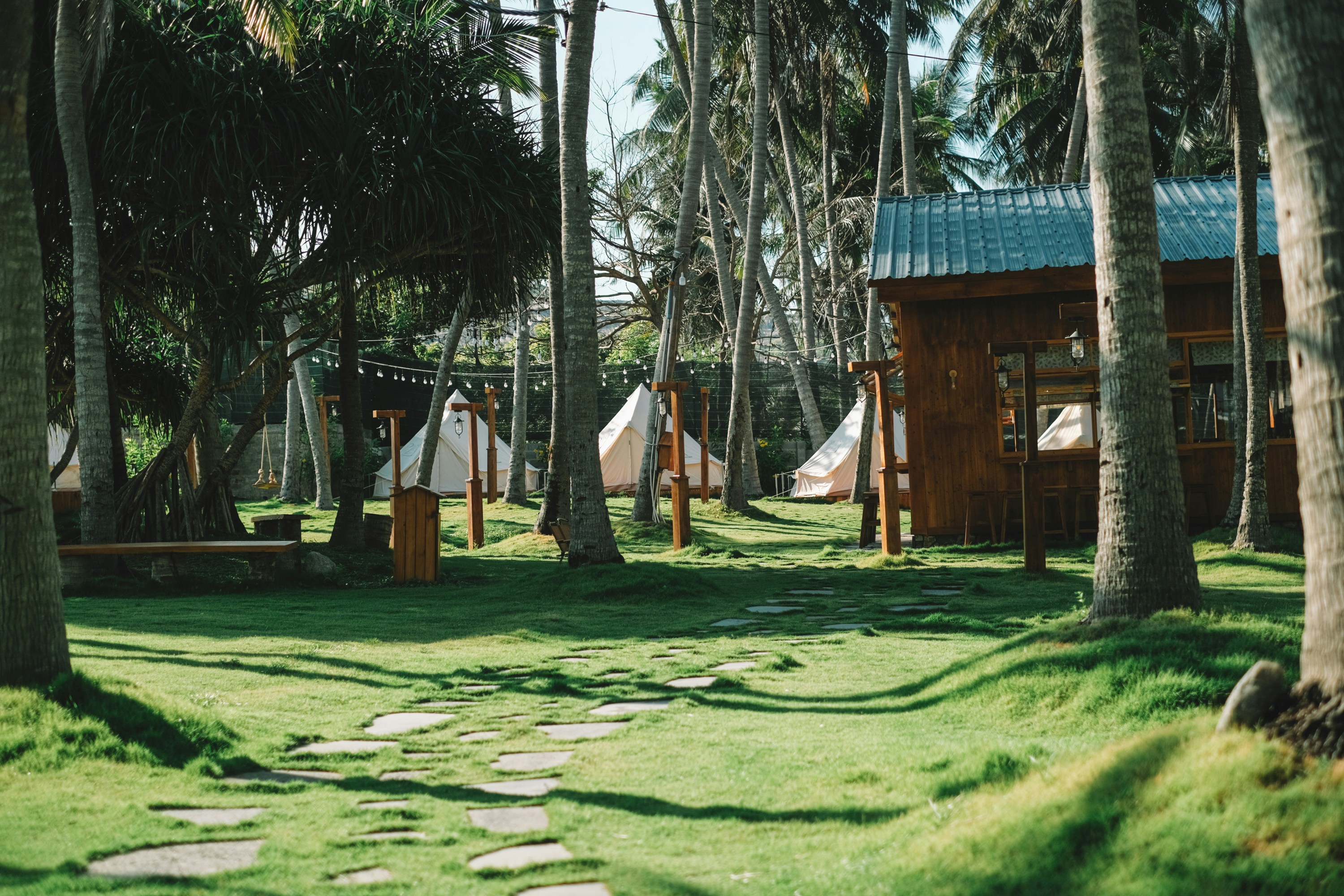 a grassy area with trees and hammocks in the background