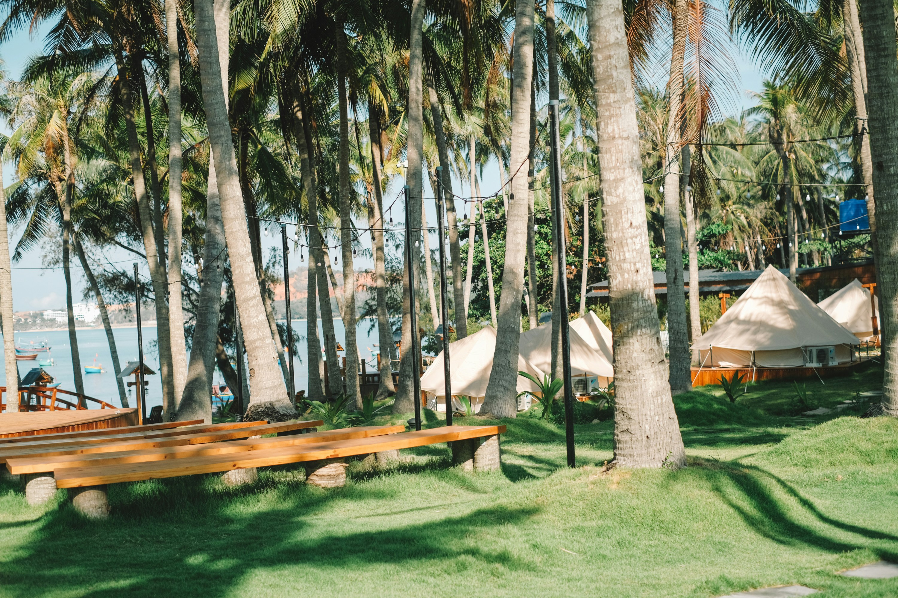 Photo by nguyentrungnguyen