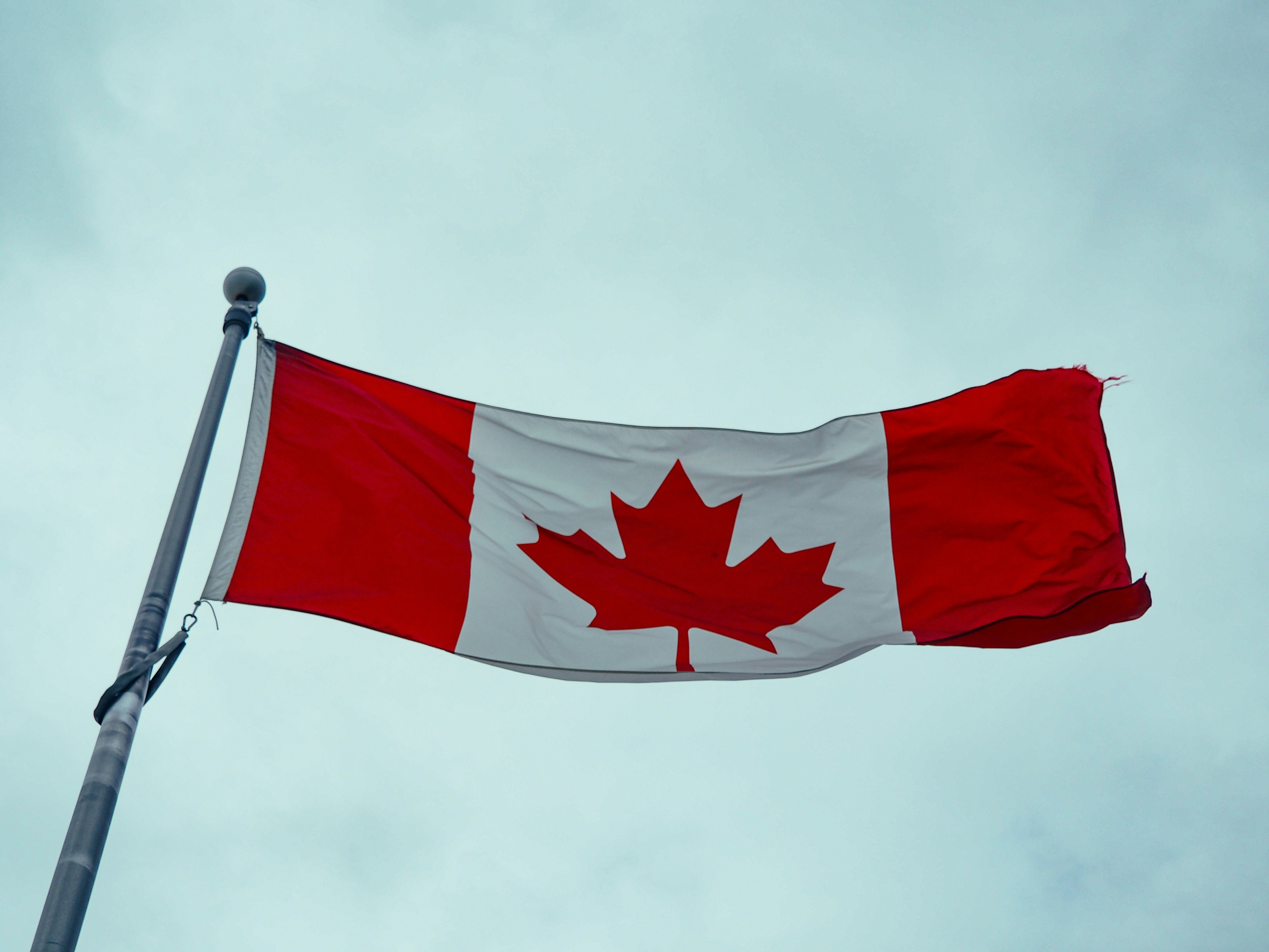 A Canadian flag blowing in the wind, with the sky behind.