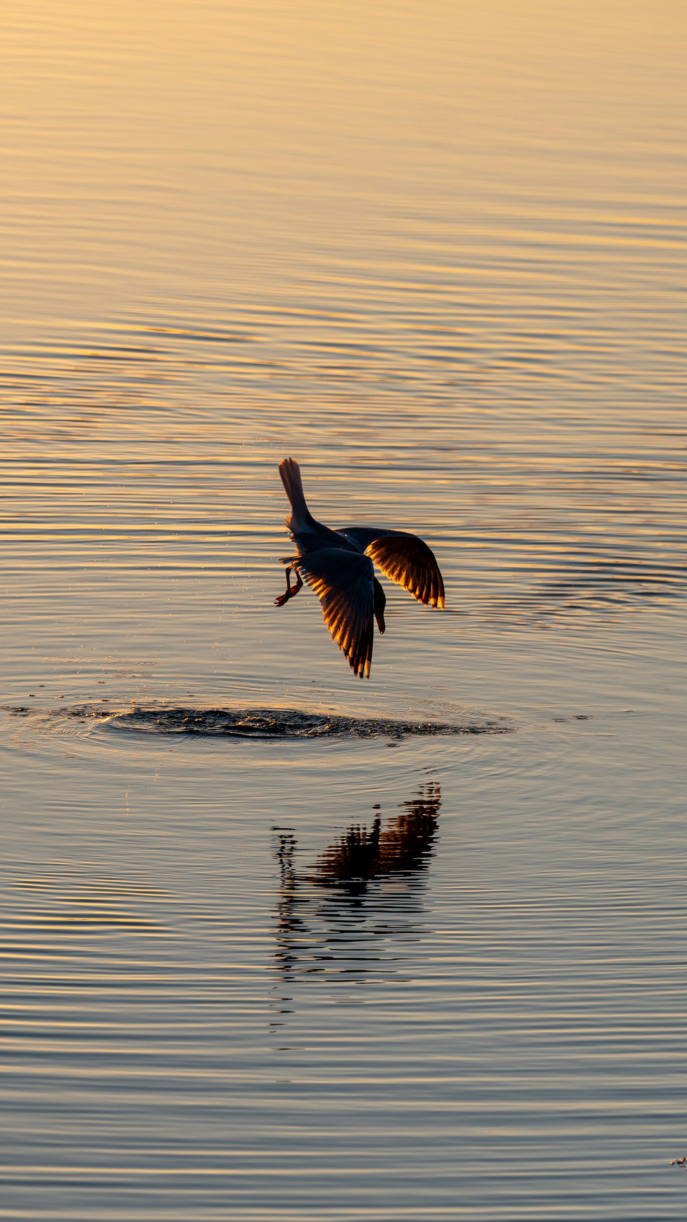 Photo by oculareuphoria