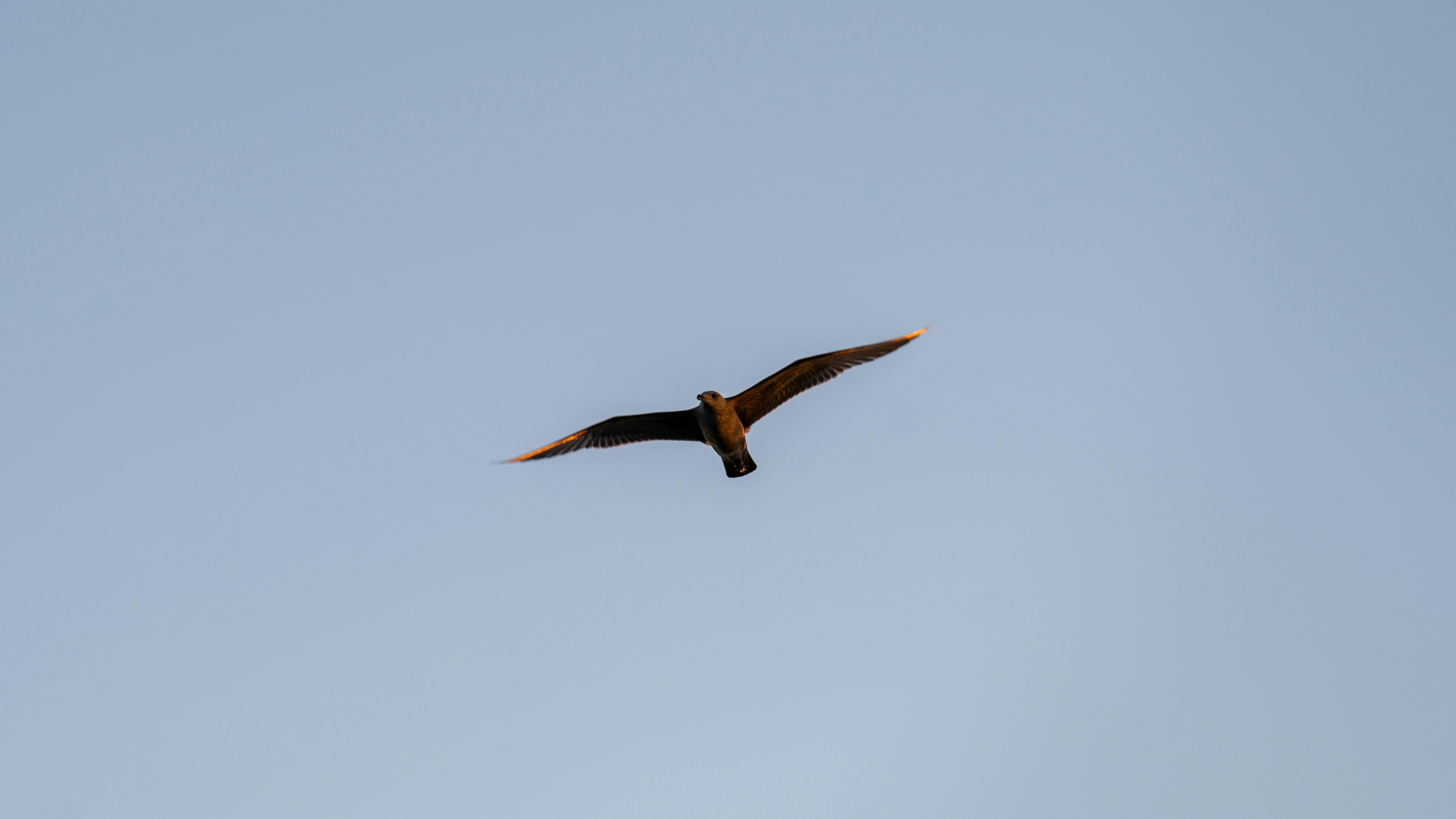 Photo by oculareuphoria