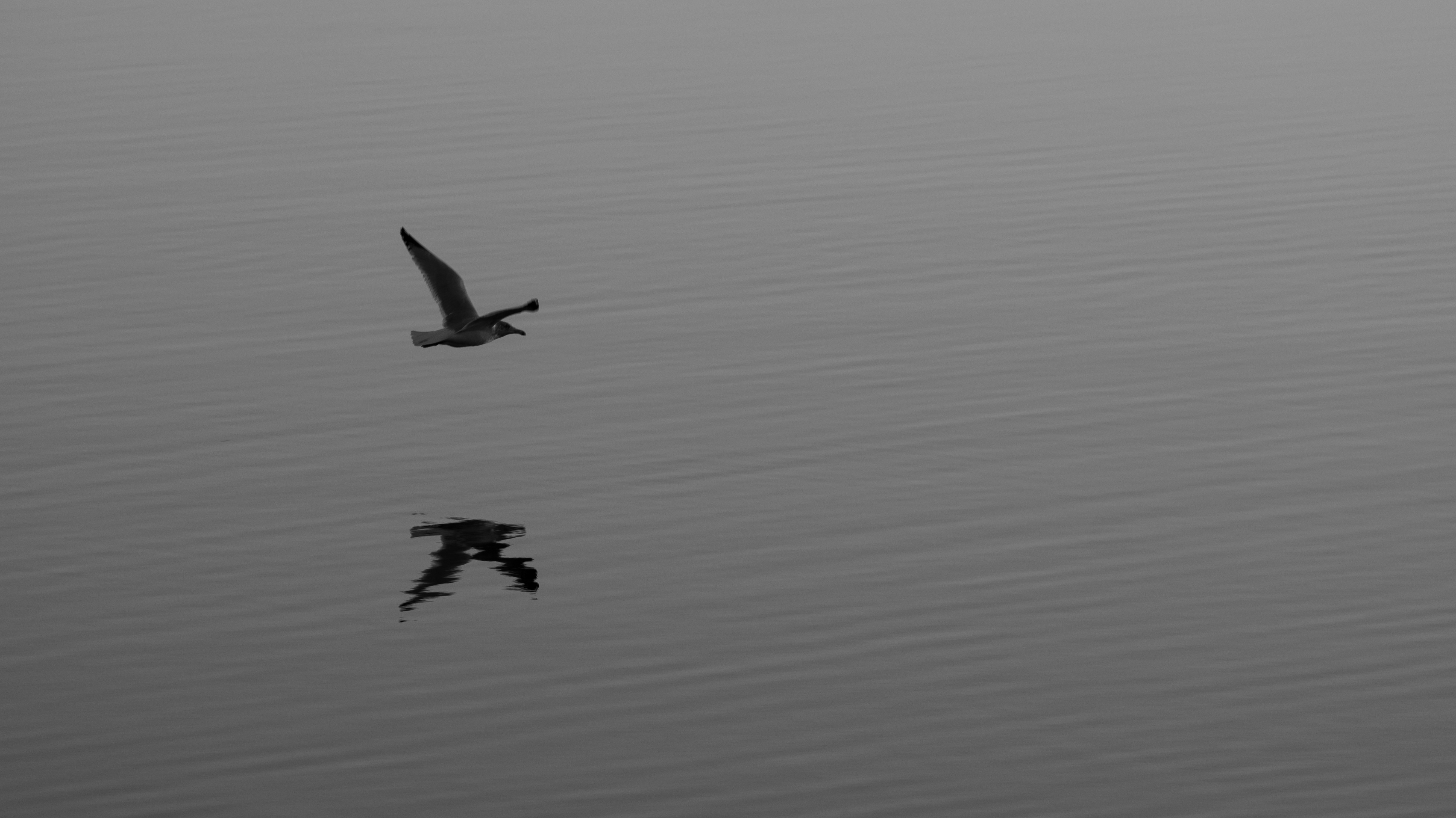 Photo by oculareuphoria