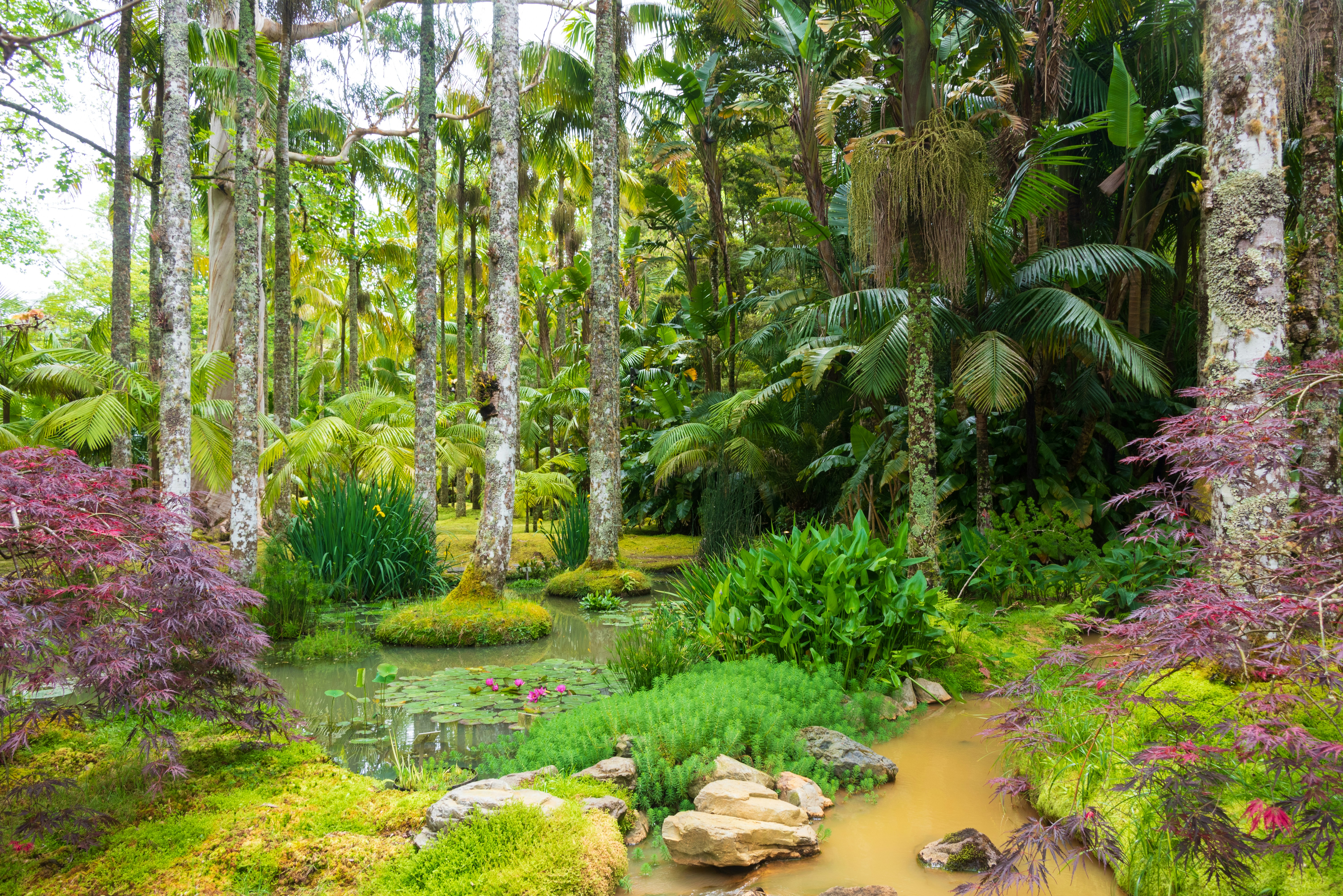 Photo by translytranslations