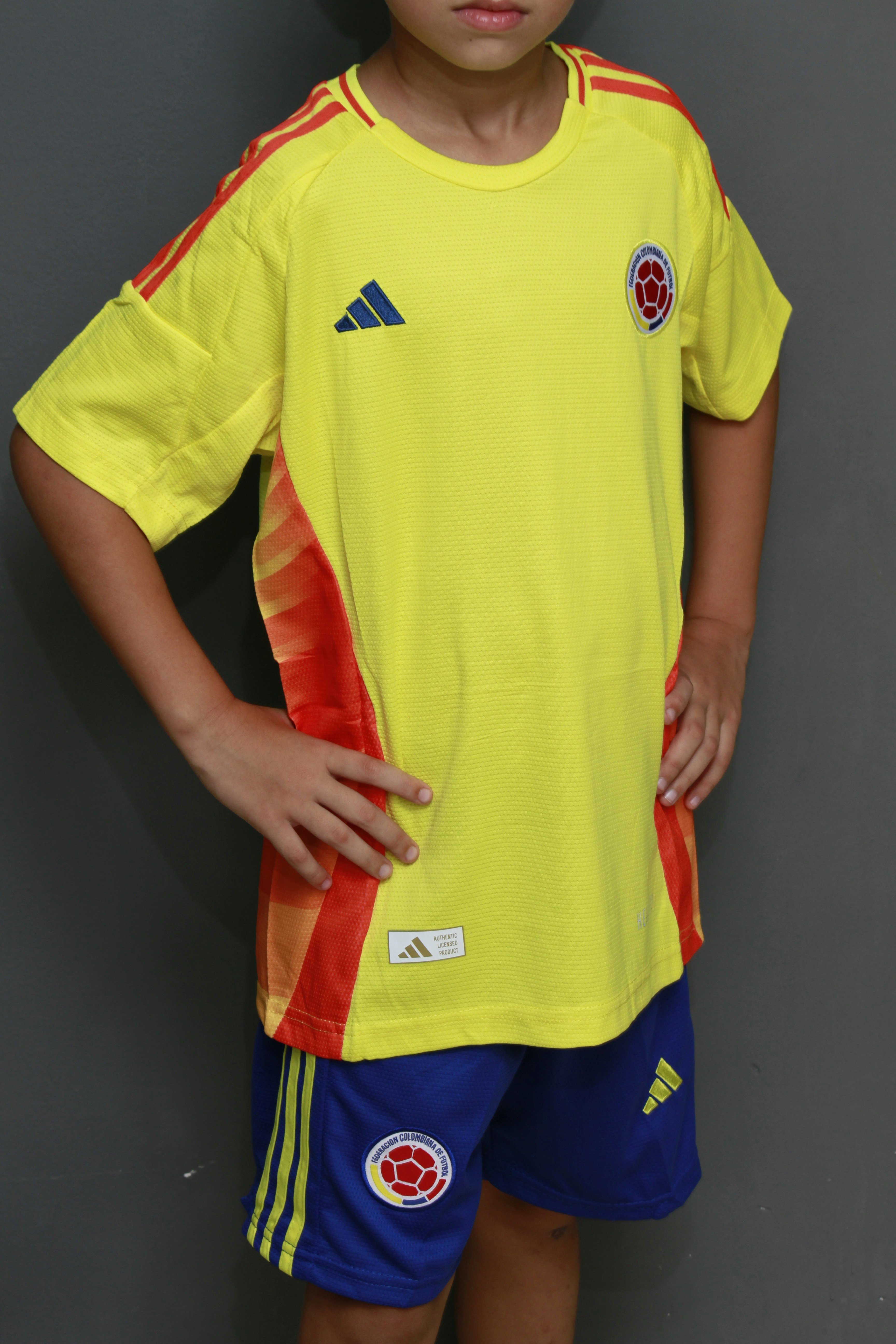 selección consultor