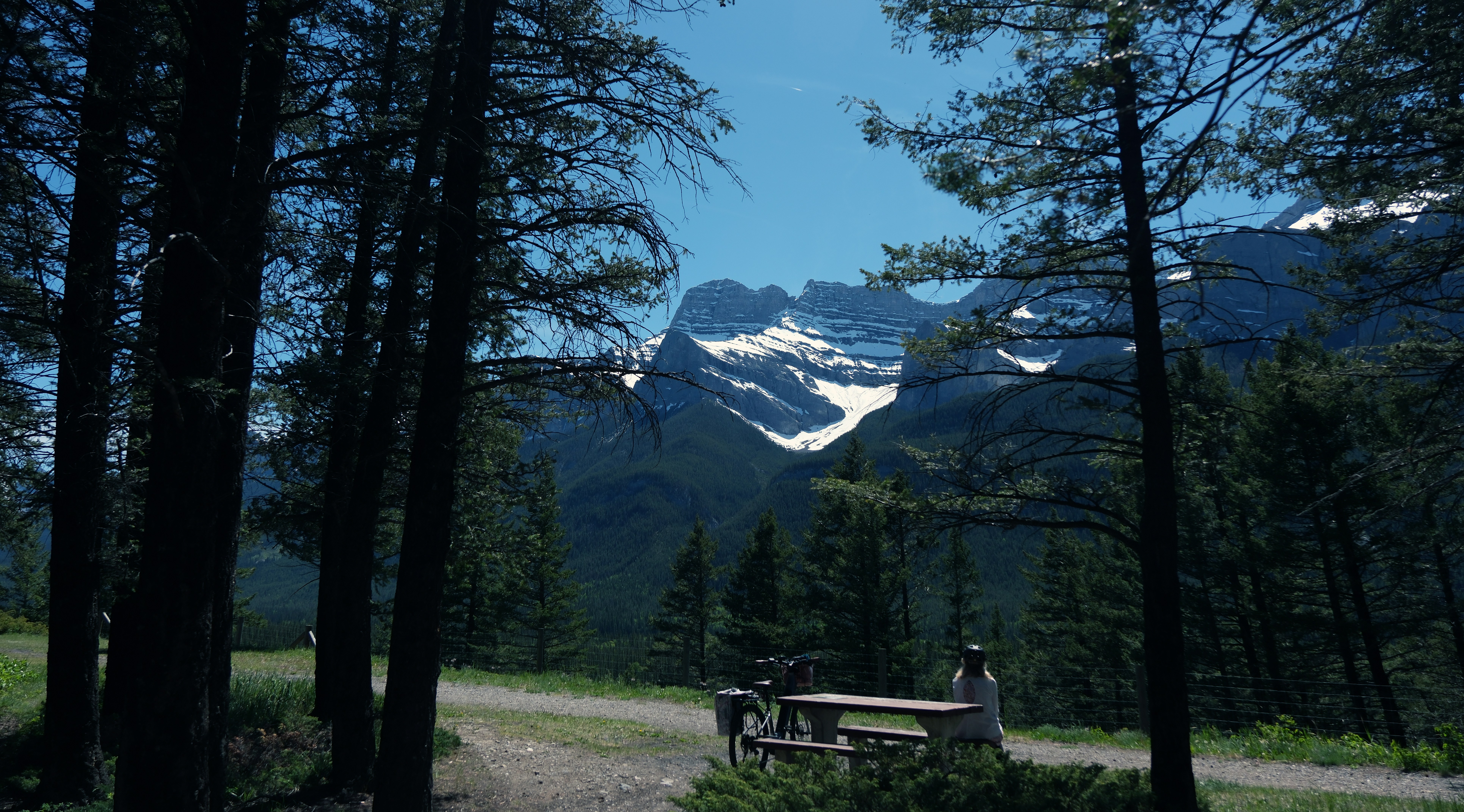 a couple of people sitting on a bench in the woods